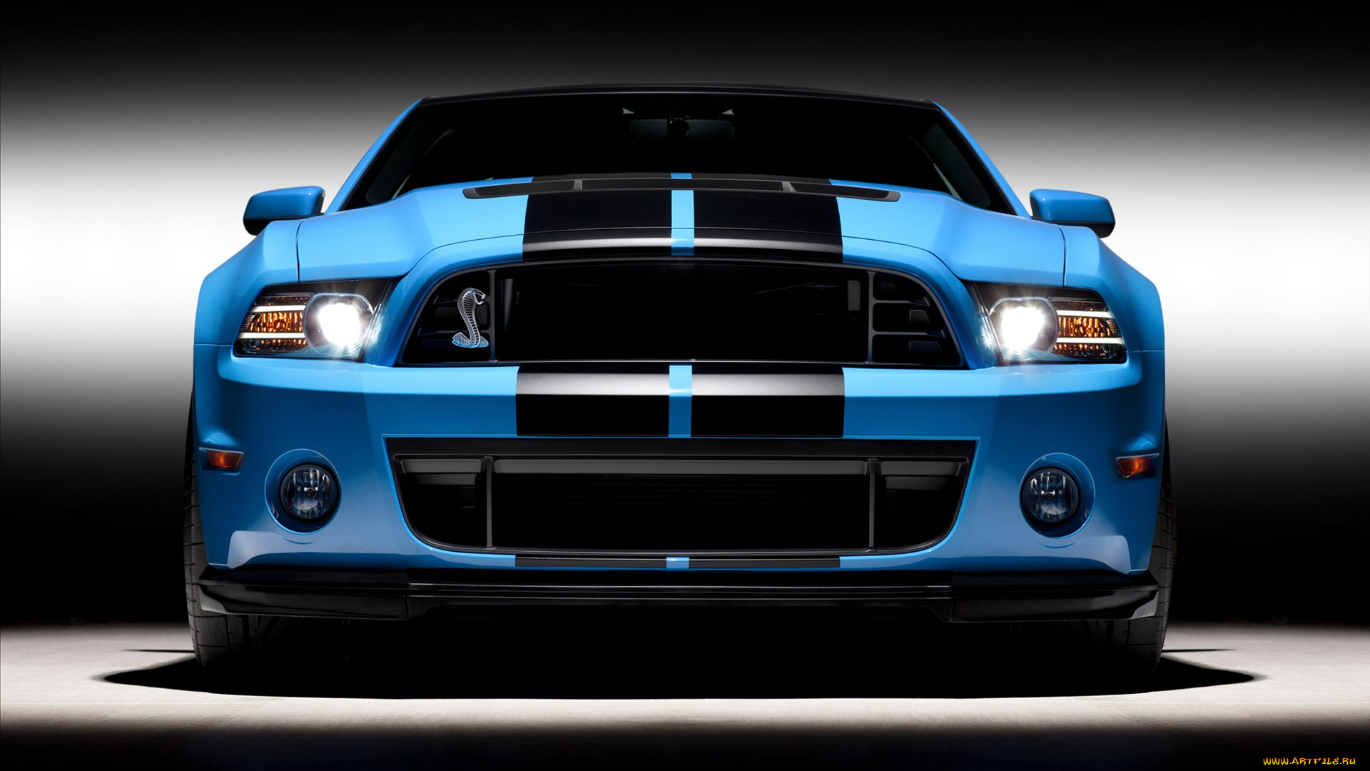 ford, shelby, gt500, 2013, автомобили, mustang