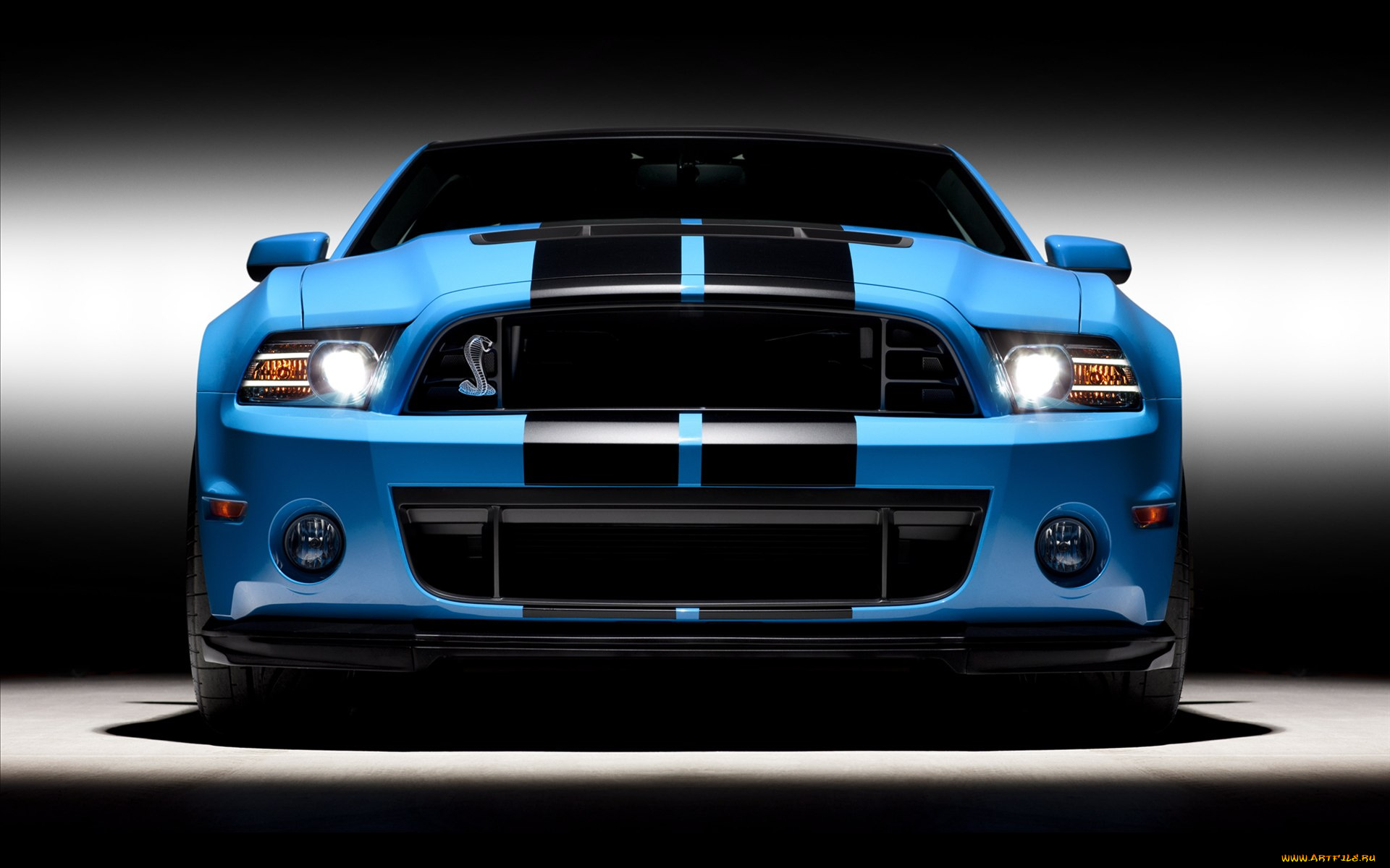 ford, shelby, gt500, 2013, автомобили, mustang