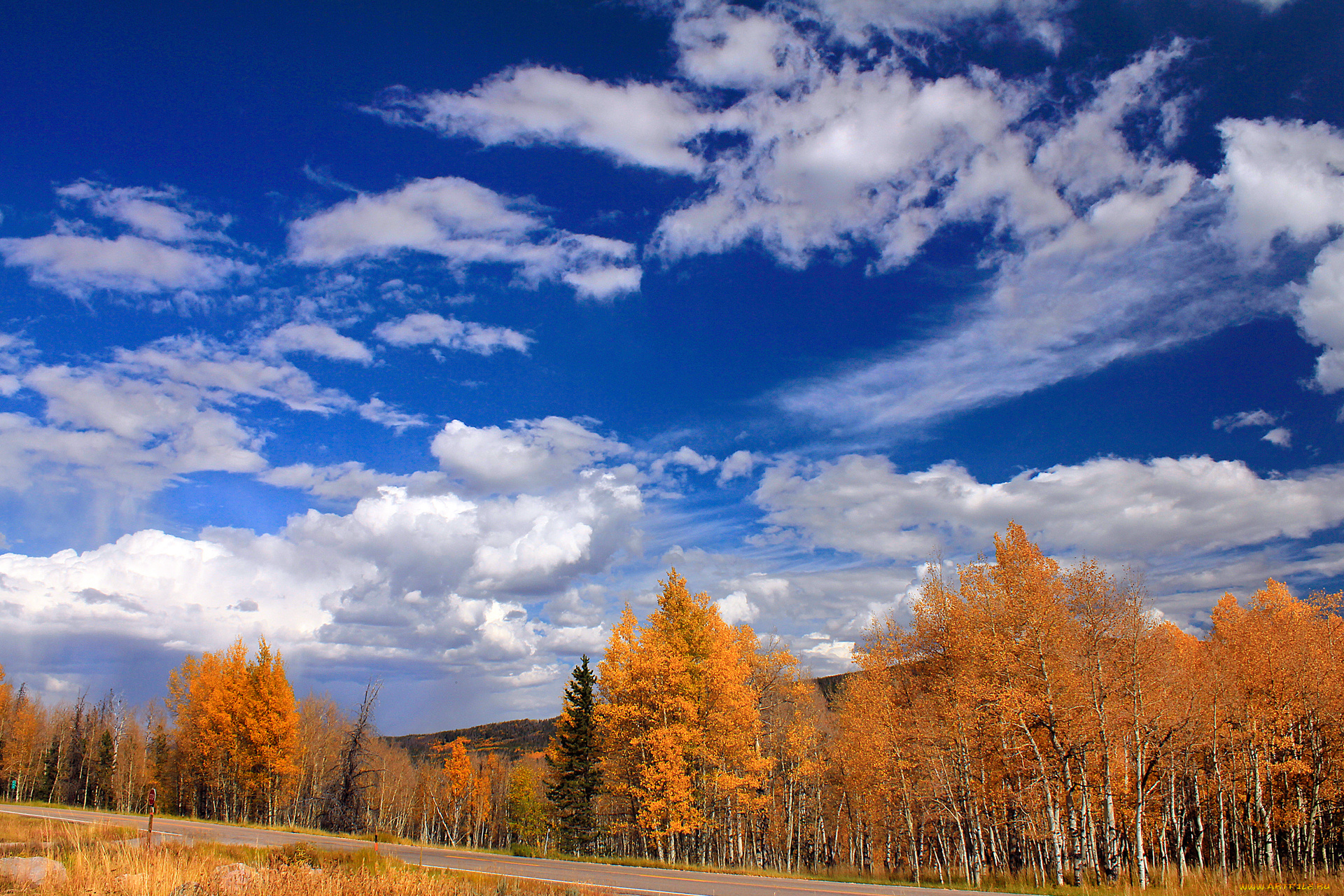 природа, деревья, осень, дорога, облака