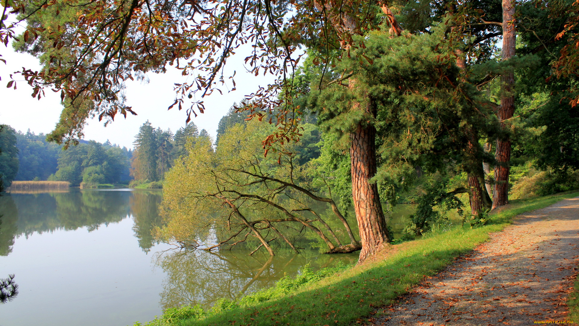 Чехия, pruhonice, природа, реки, озера, река, дорожка, деревья