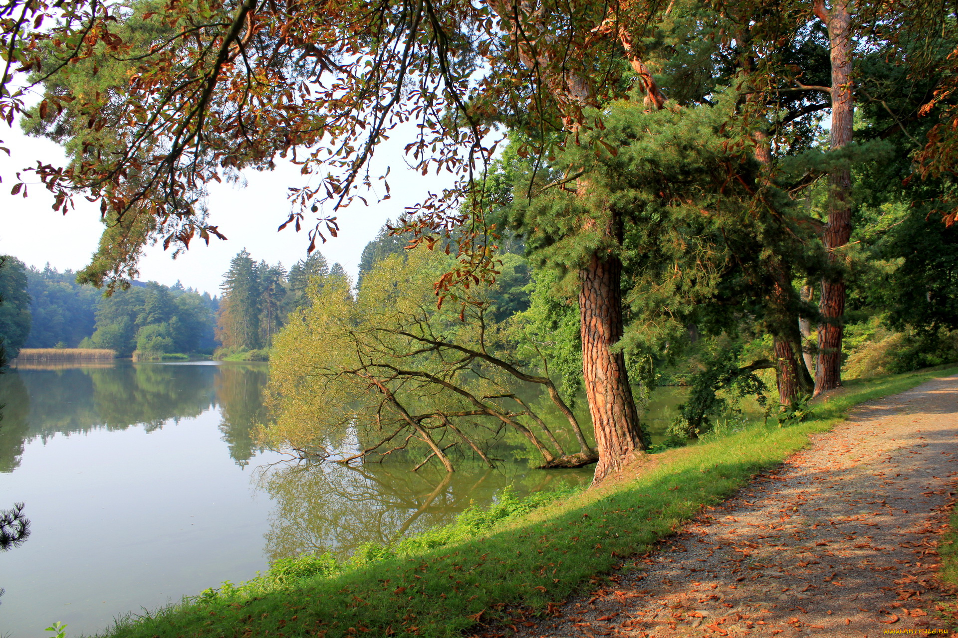 Чехия, pruhonice, природа, реки, озера, река, дорожка, деревья