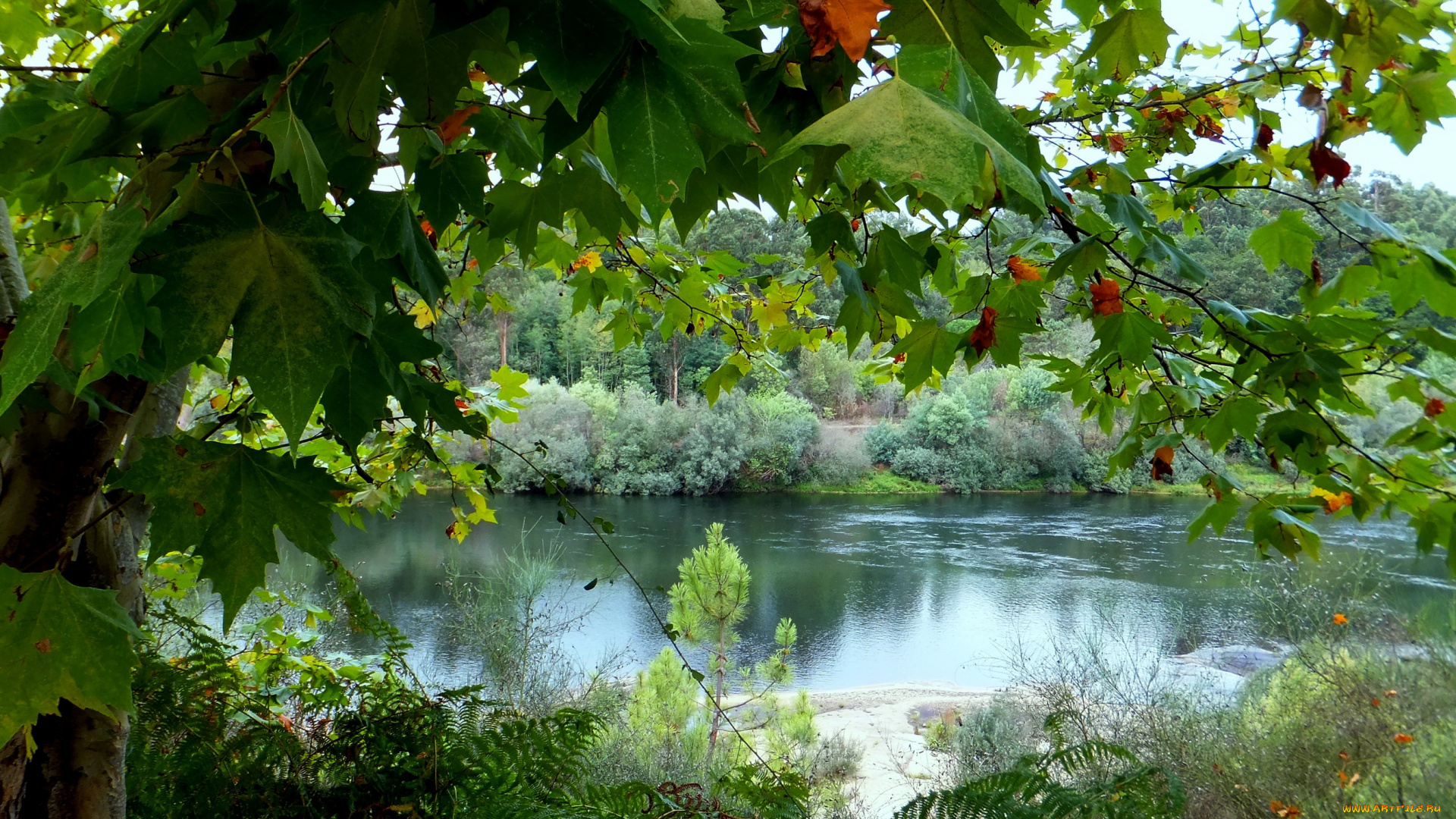 boucas, portugal, природа, реки, озера, деревья, река, парк