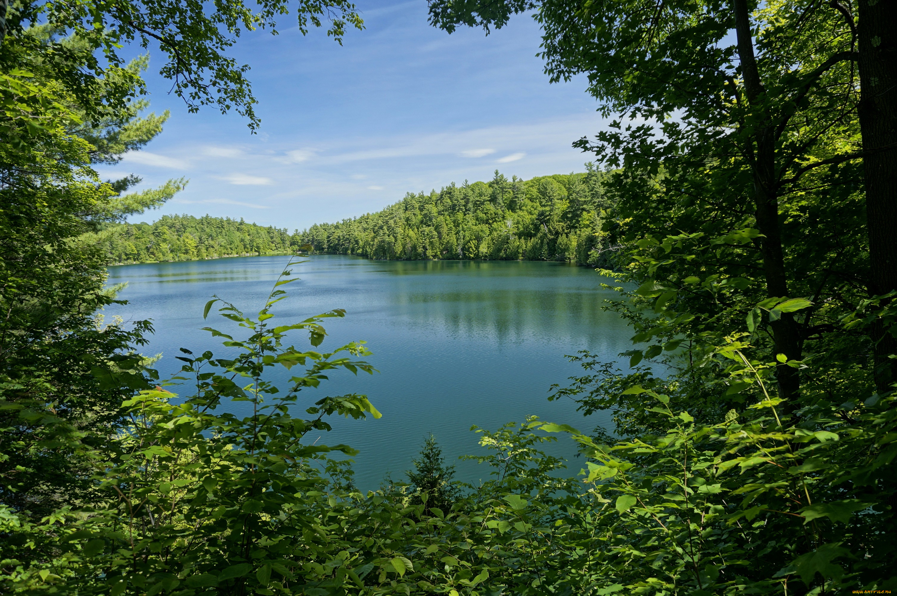 природа, реки, озера, ветки, лес, gatienau, park, деревья, парк, озеро, pink, lake, канада, зелень, листья