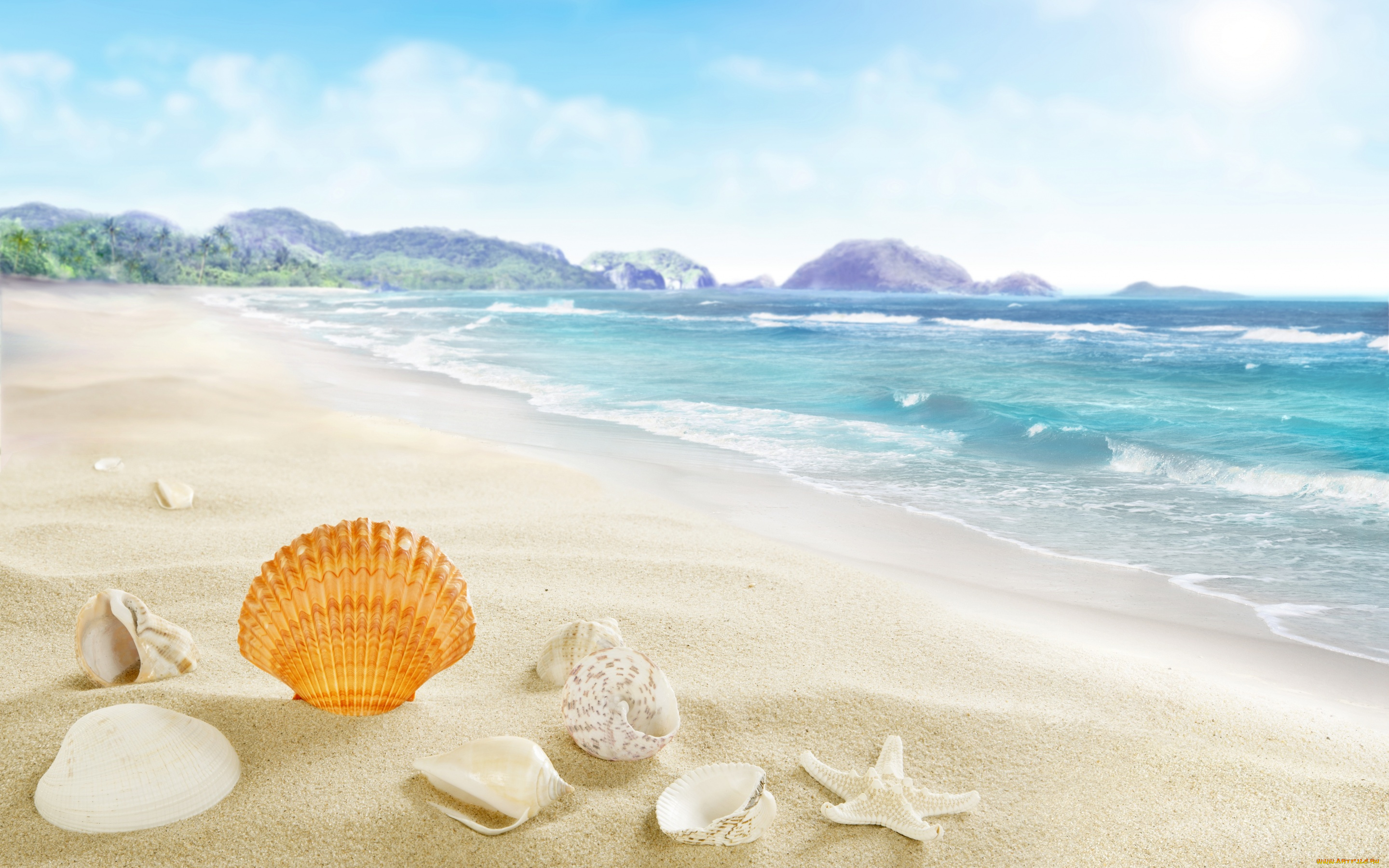 разное, ракушки, , кораллы, , декоративные, и, spa-камни, sea, seashells, beach, sand
