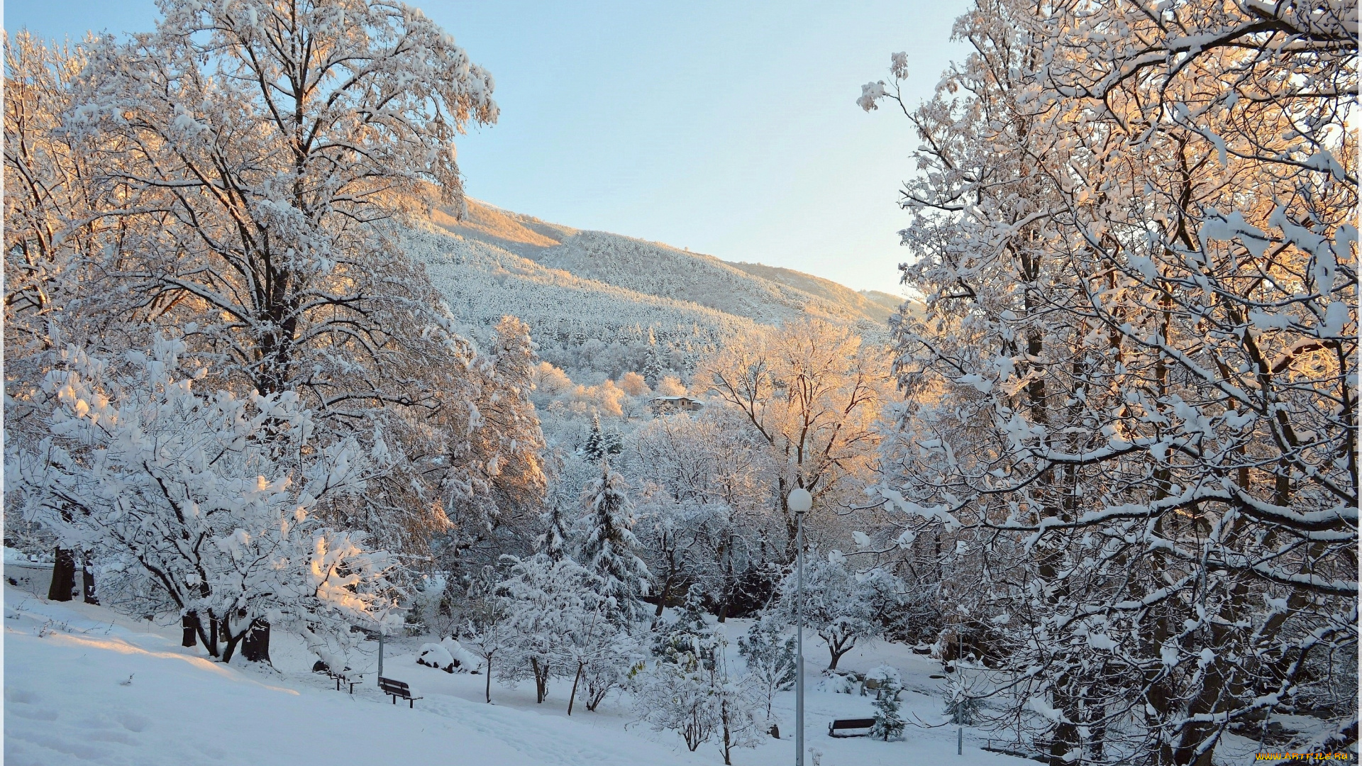 природа, парк, зима, деревья, снег, мороз, winter, frost, park, snow, trees