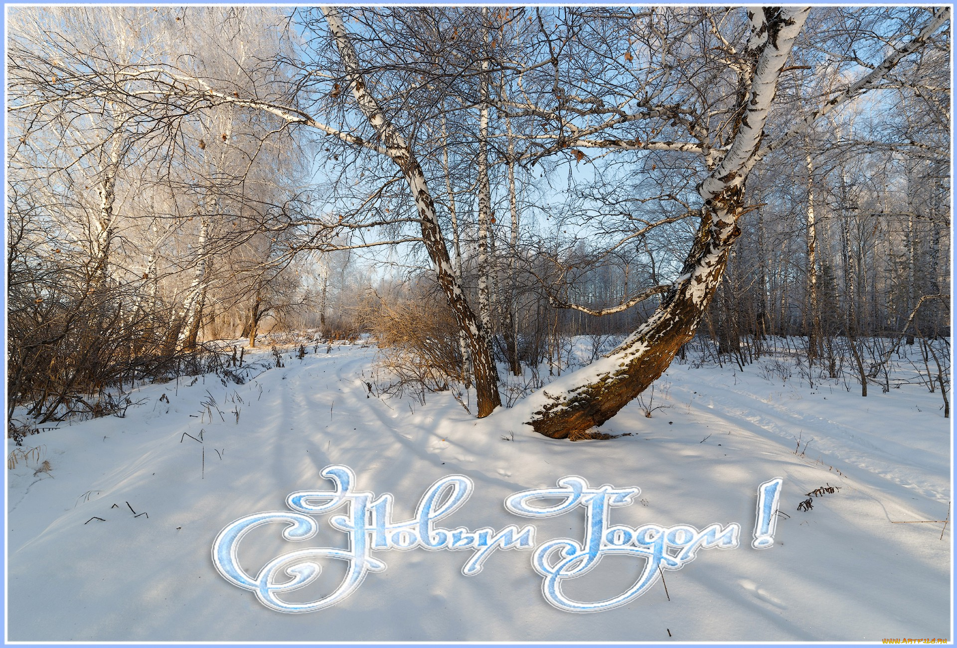 праздничные, новогодние, пейзажи, зима