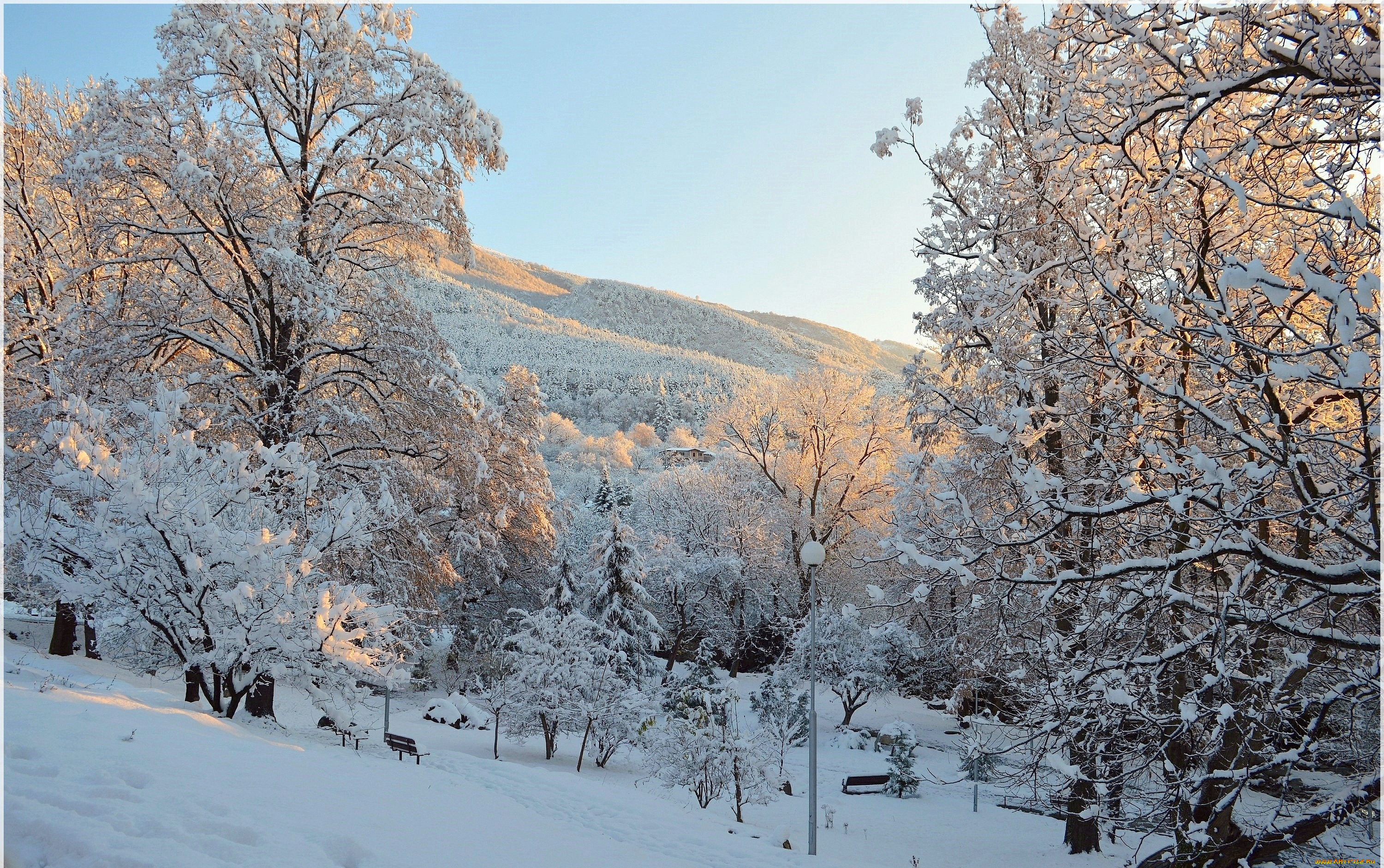 природа, парк, зима, деревья, снег, мороз, winter, frost, park, snow, trees