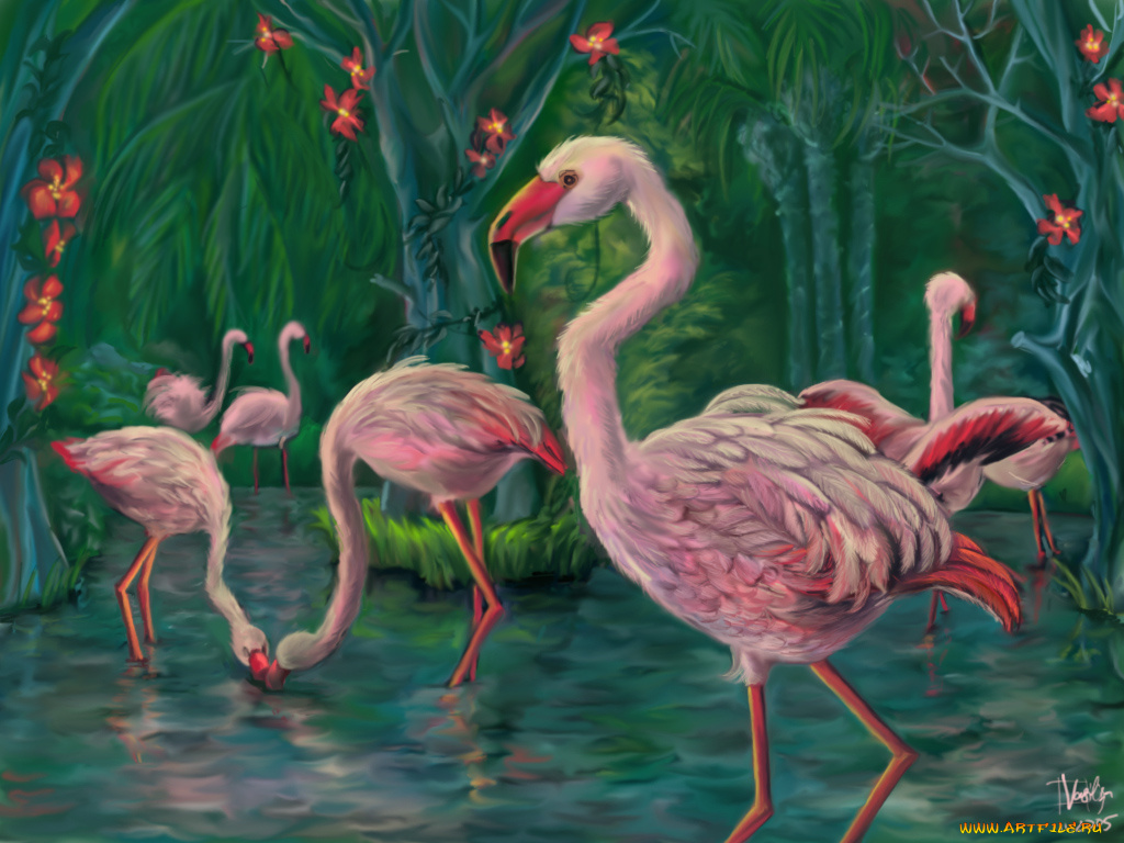 рисованные, животные, птицы, фламинго