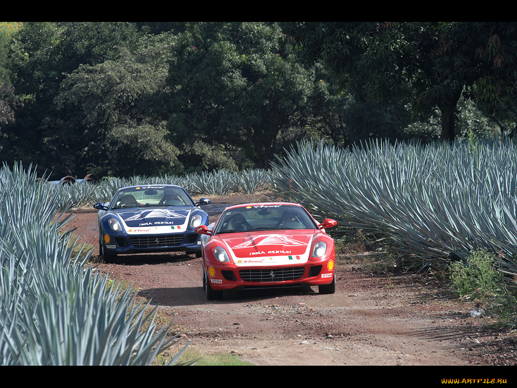 2006, ferrari, 599, автомобили