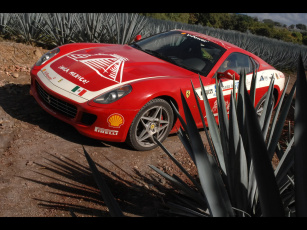 Картинка 2006 ferrari 599 автомобили
