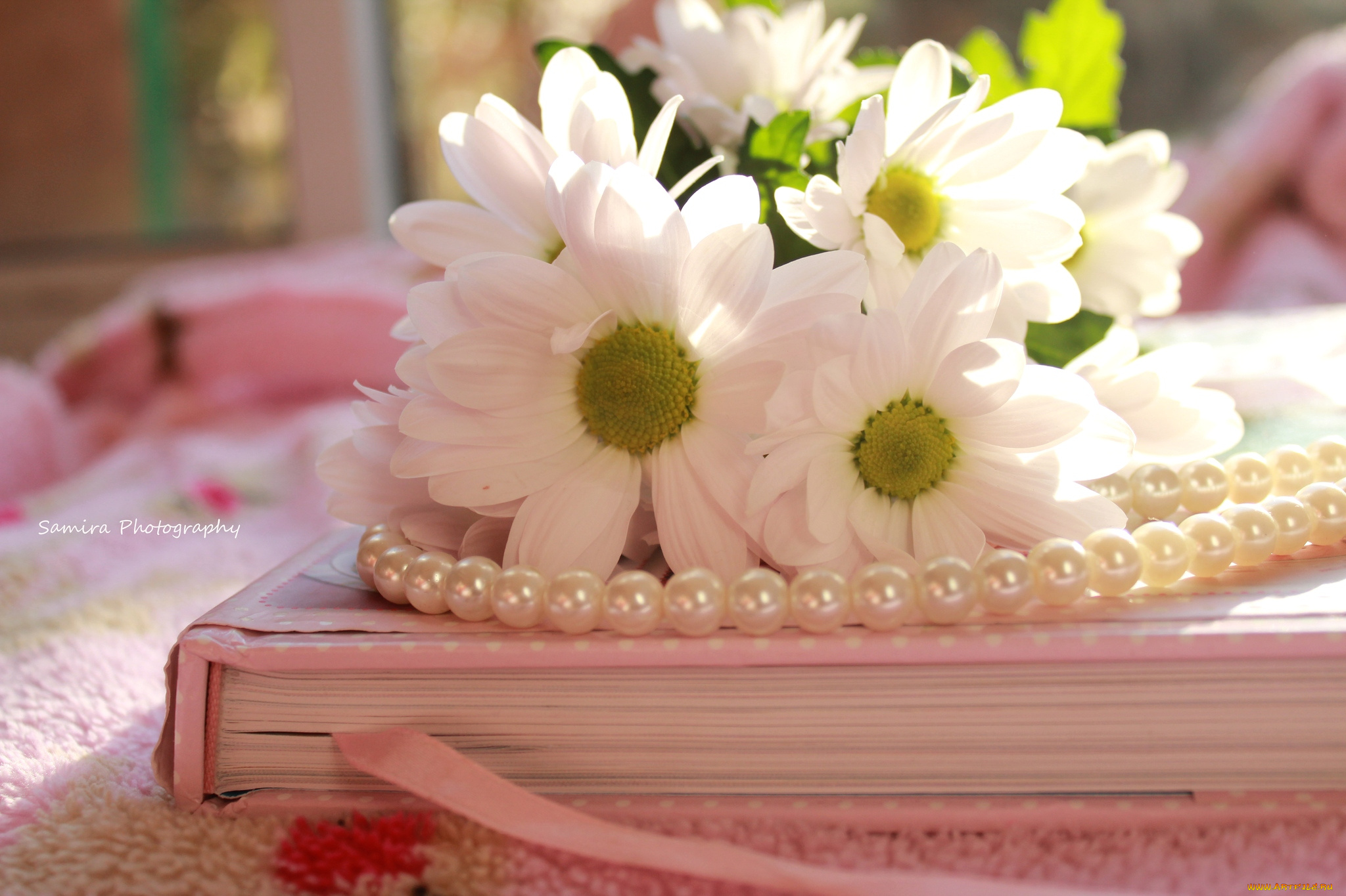 цветы, хризантемы, книга, ожерелье