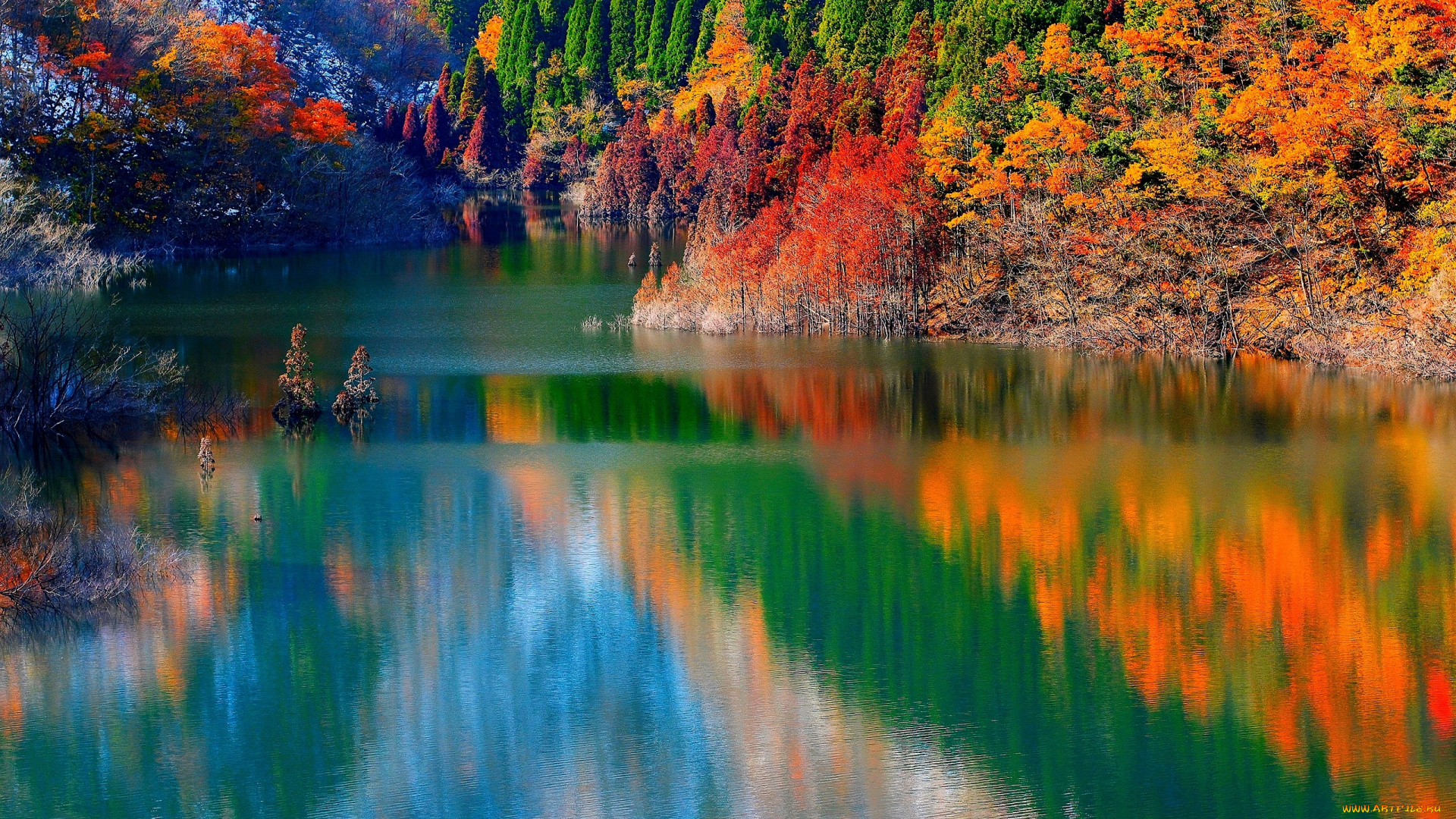 природа, реки, озера, река, осень, лес