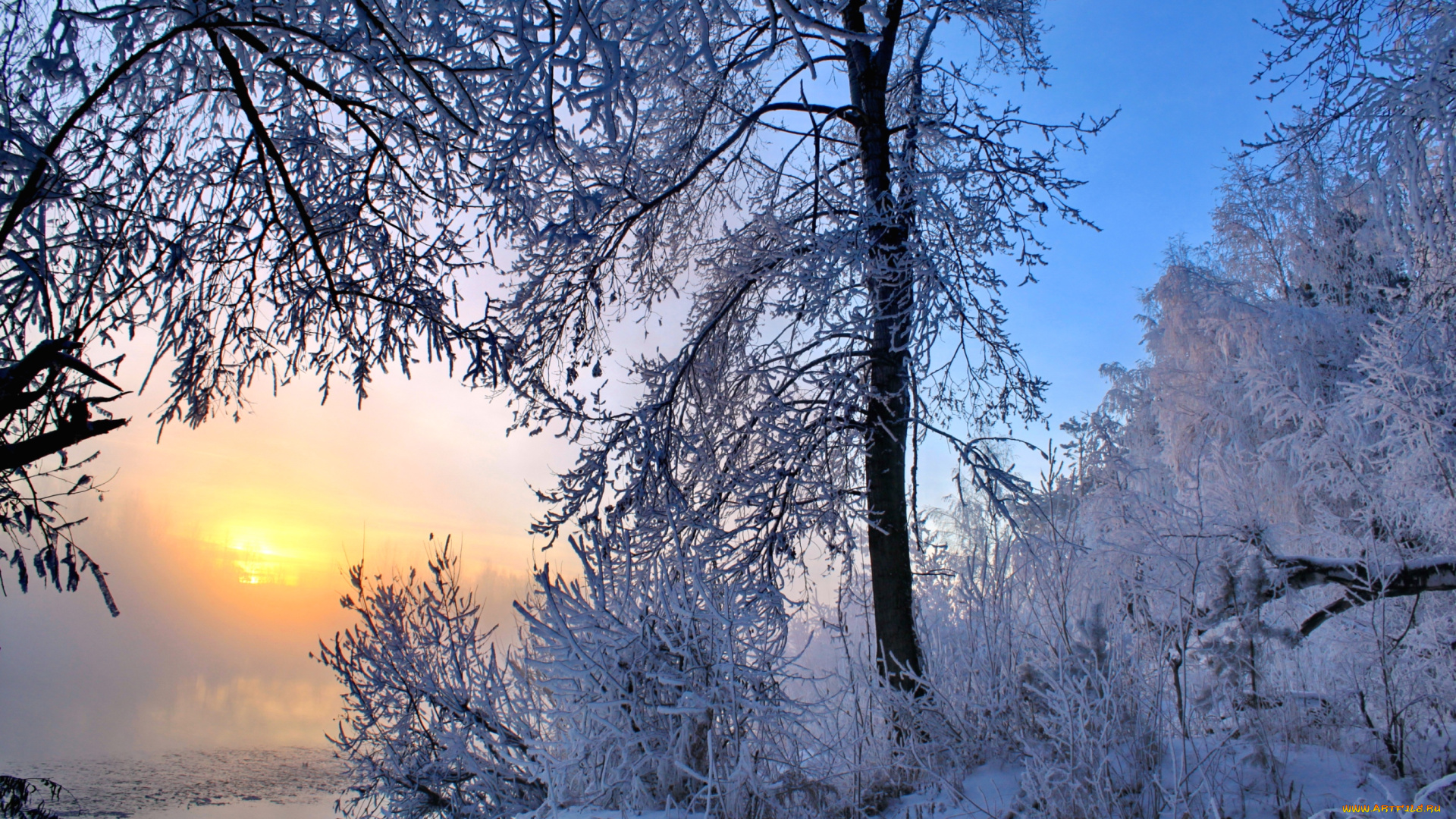 природа, зима, деревья, снег, восход