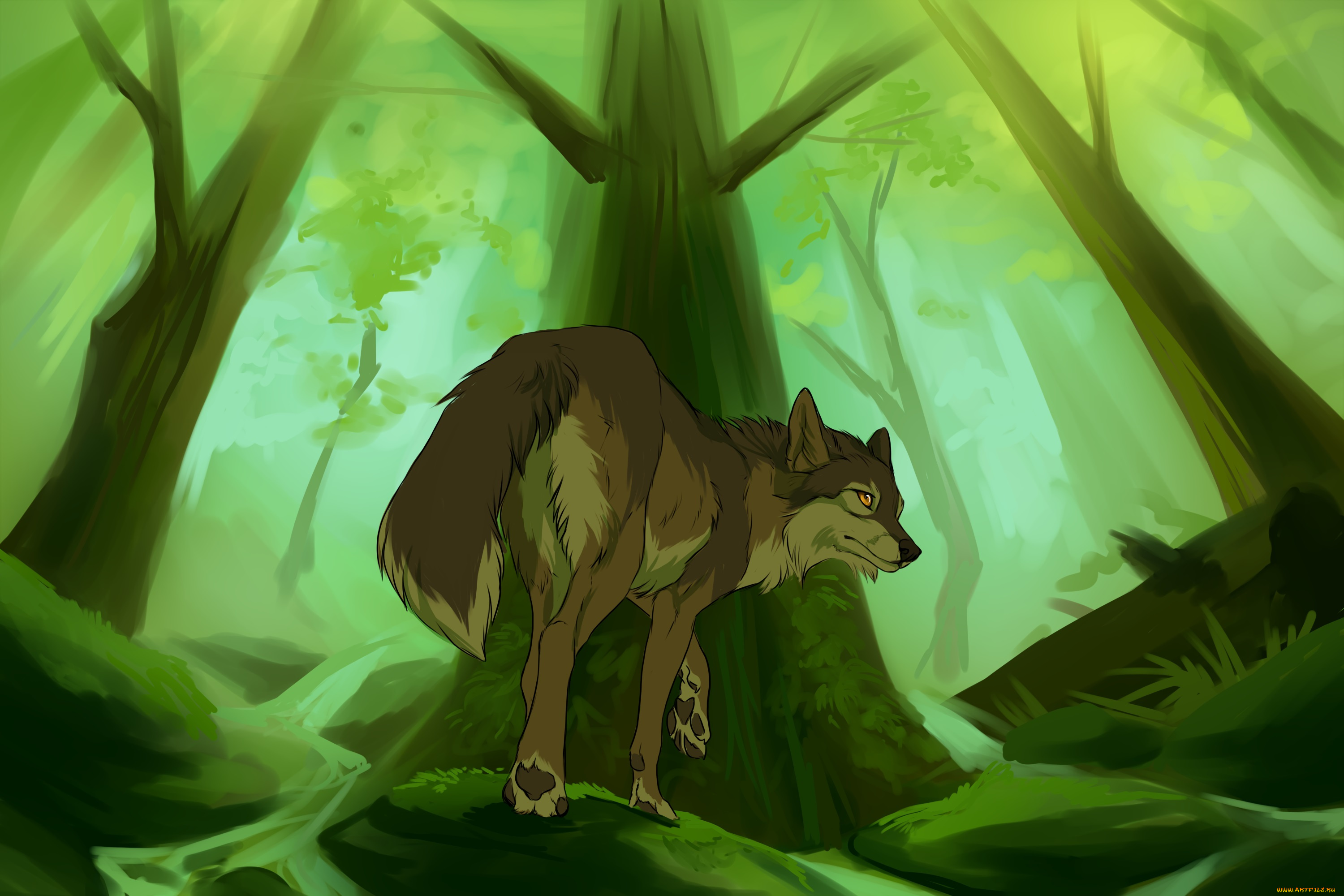 рисованные, животные, , волки, зеленый, волк, лес