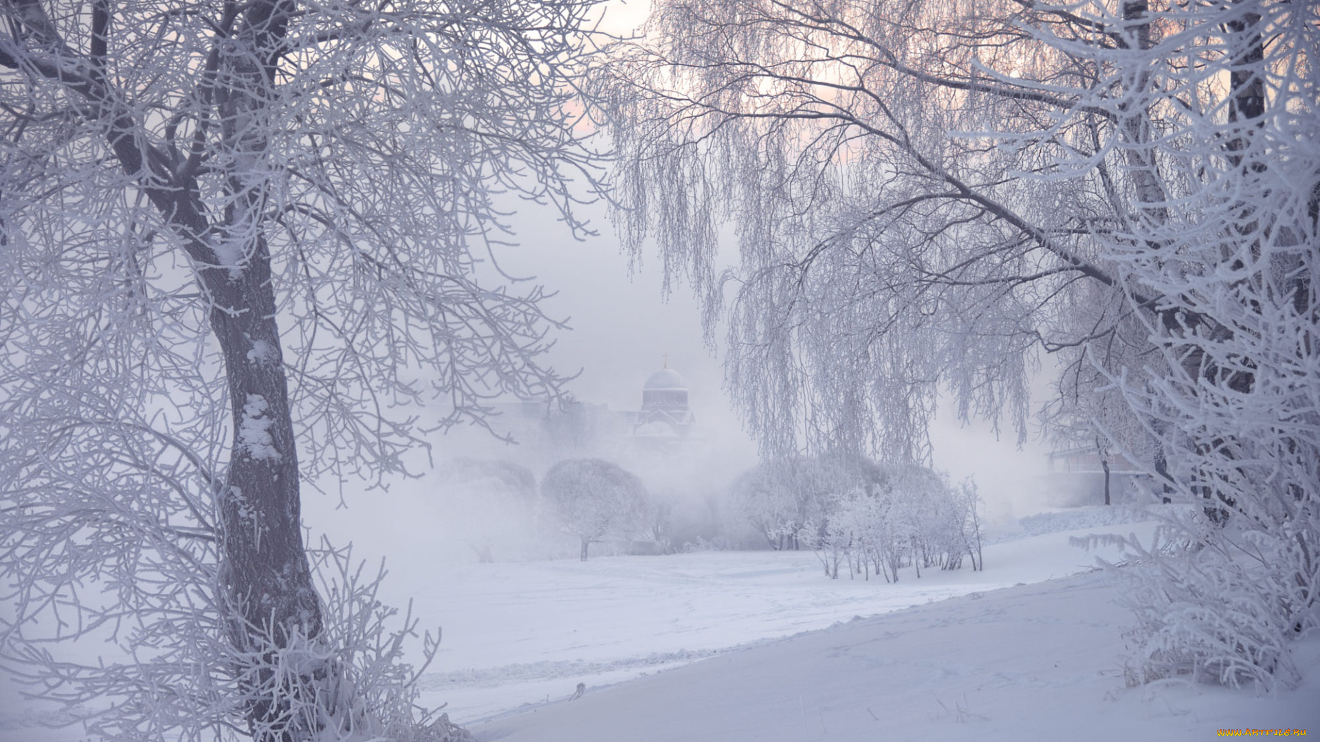 природа, зима, деревья, ed, gordeev, иней, туман, санкт-петербург
