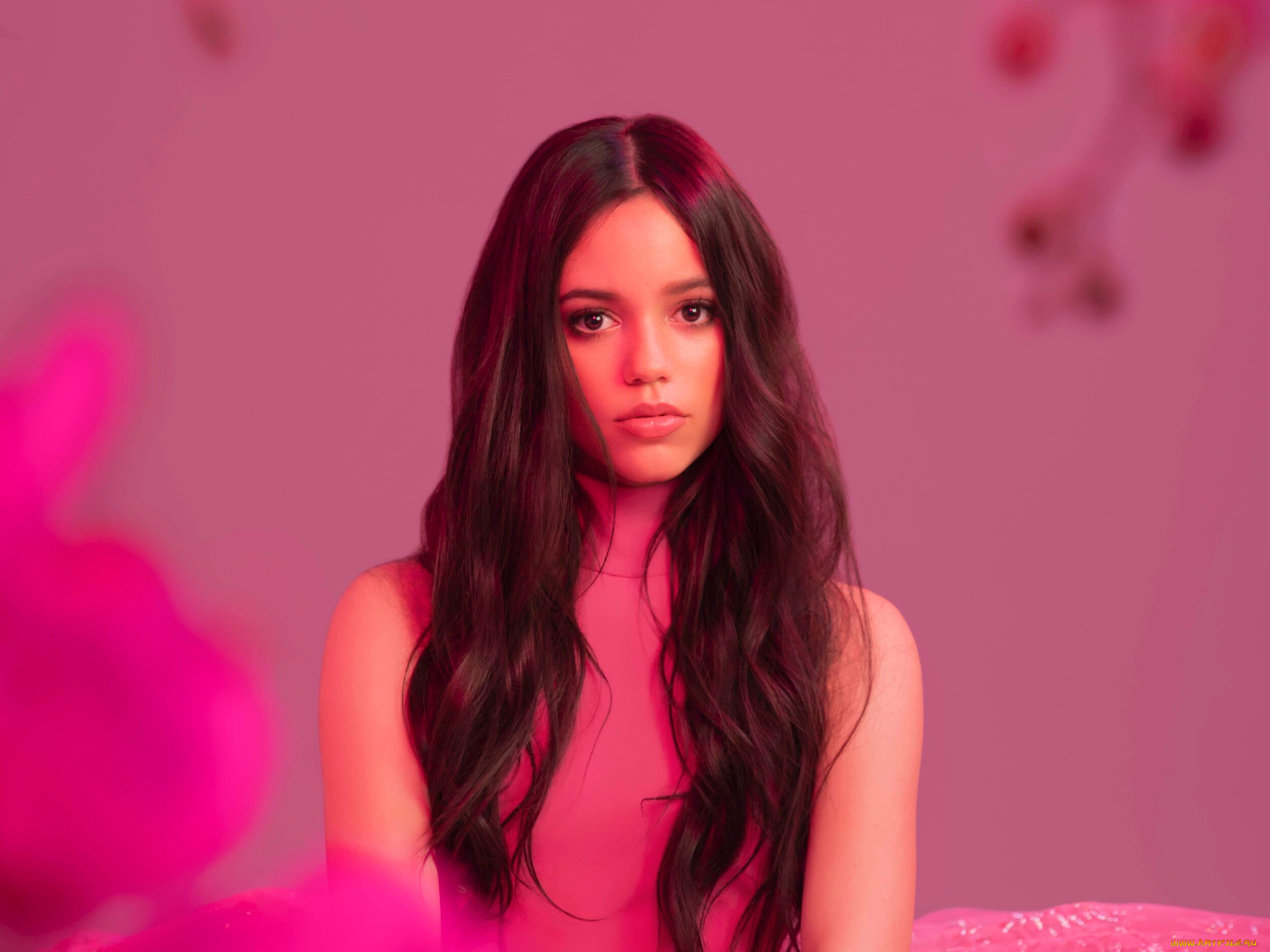 jenna, ortega, девушки, женщина, знаменитость, актриса, дженна, ортега