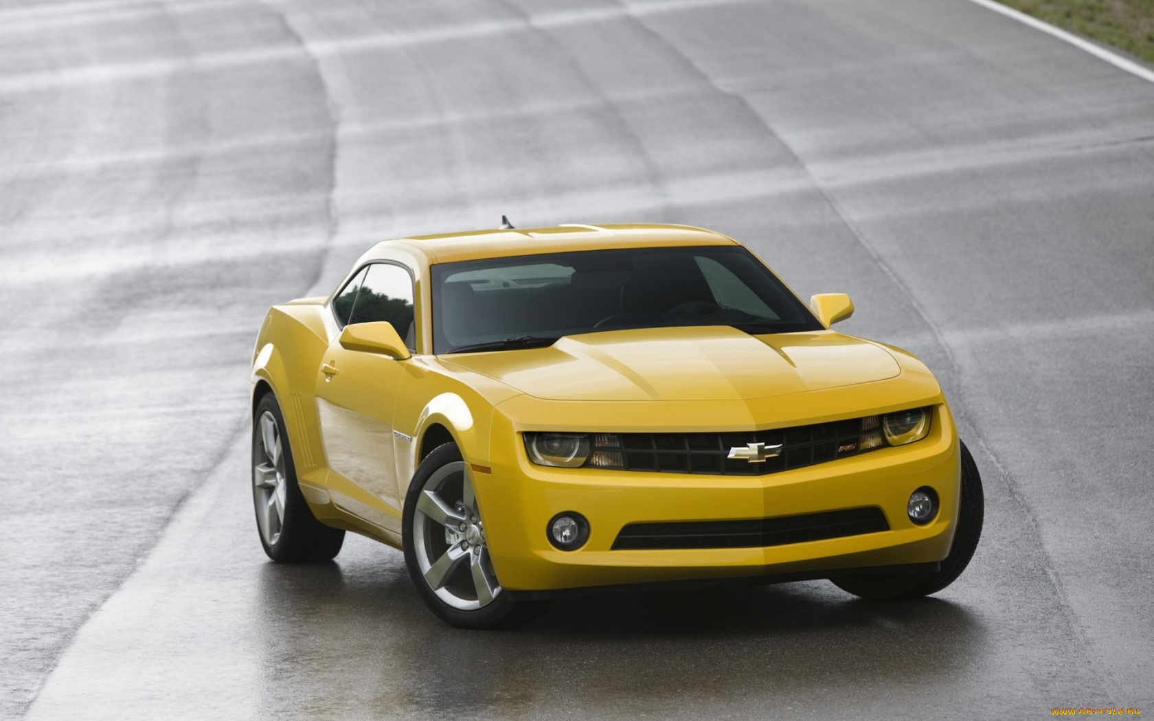 chevrolet, camaro, 2010, автомобили