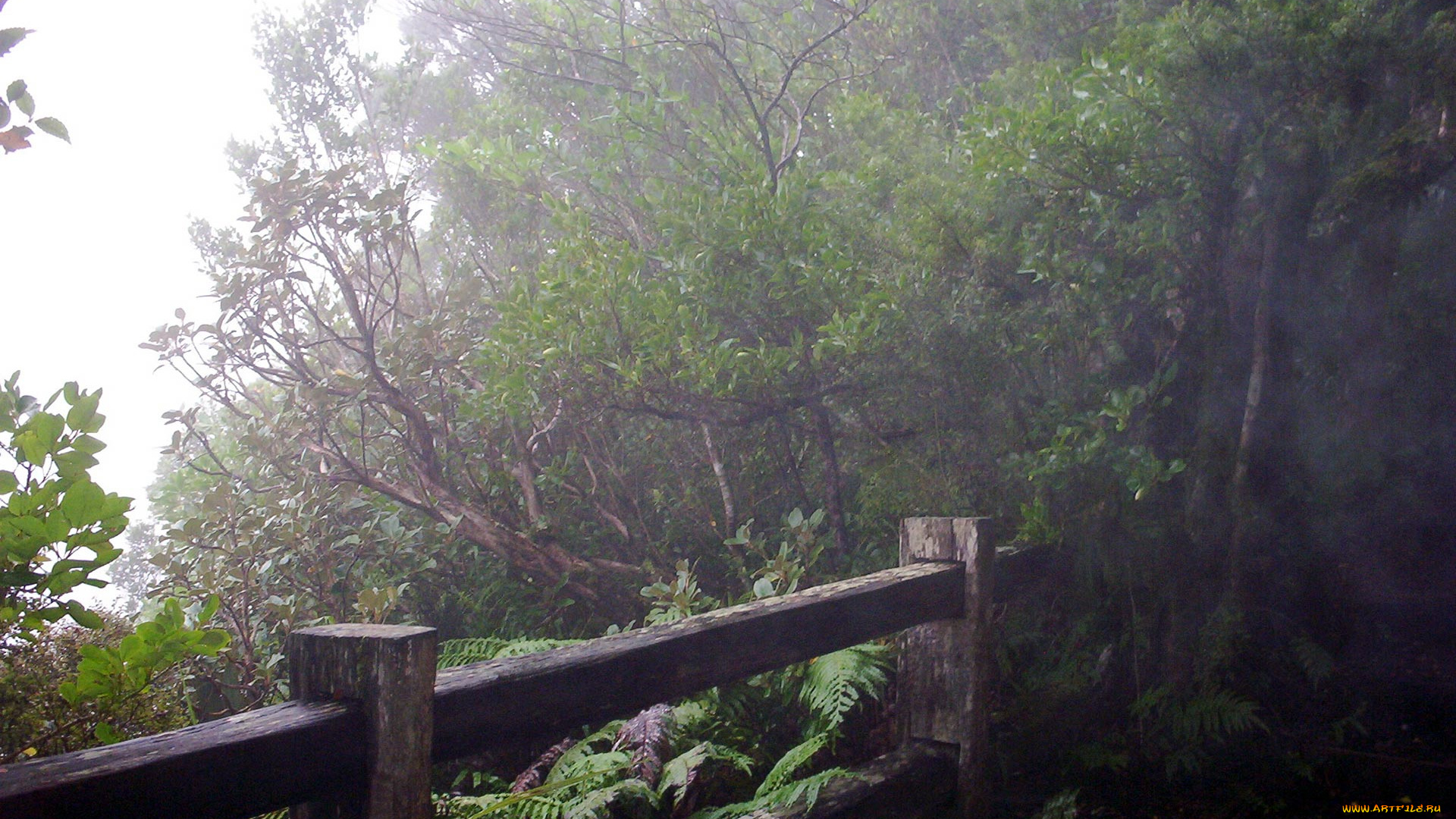 new, zealand, mount, taranaki, природа