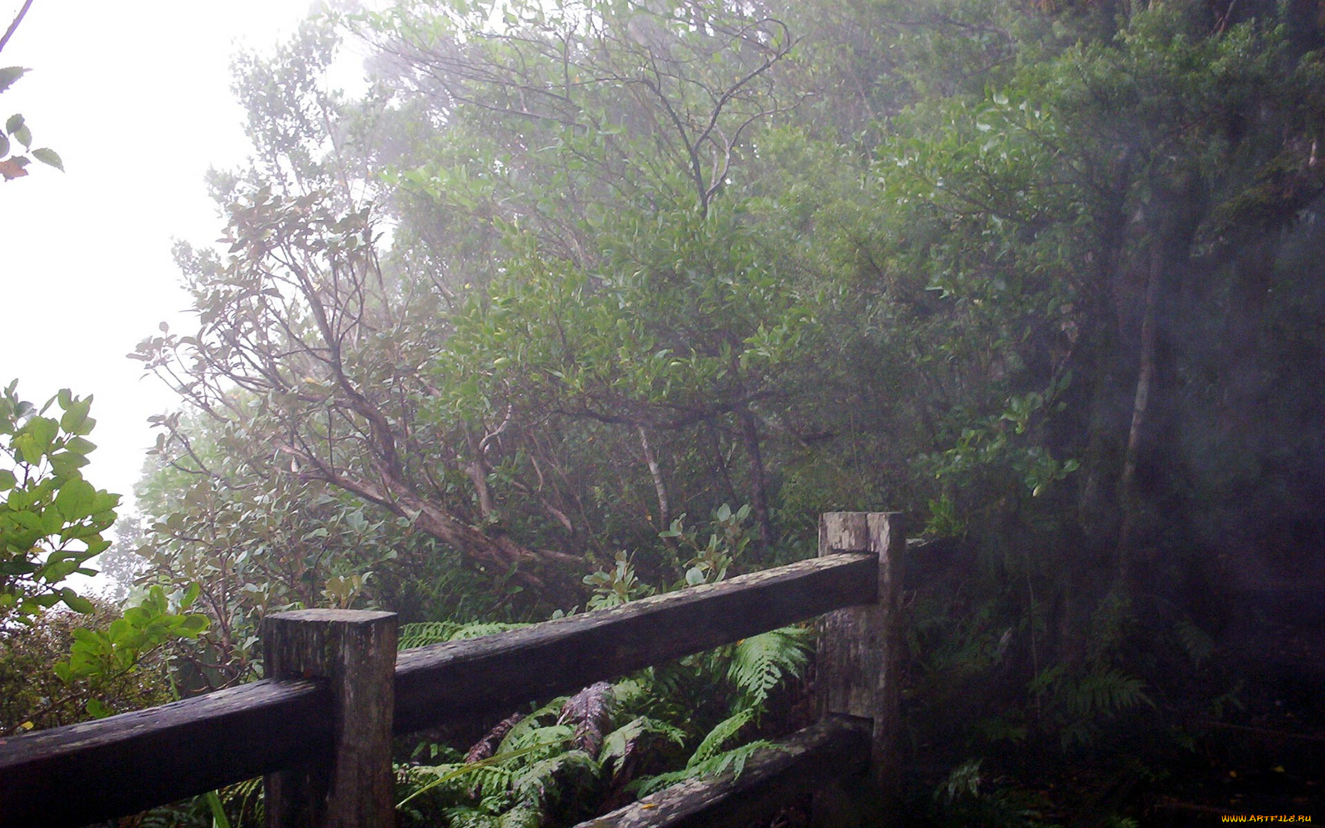 new, zealand, mount, taranaki, природа