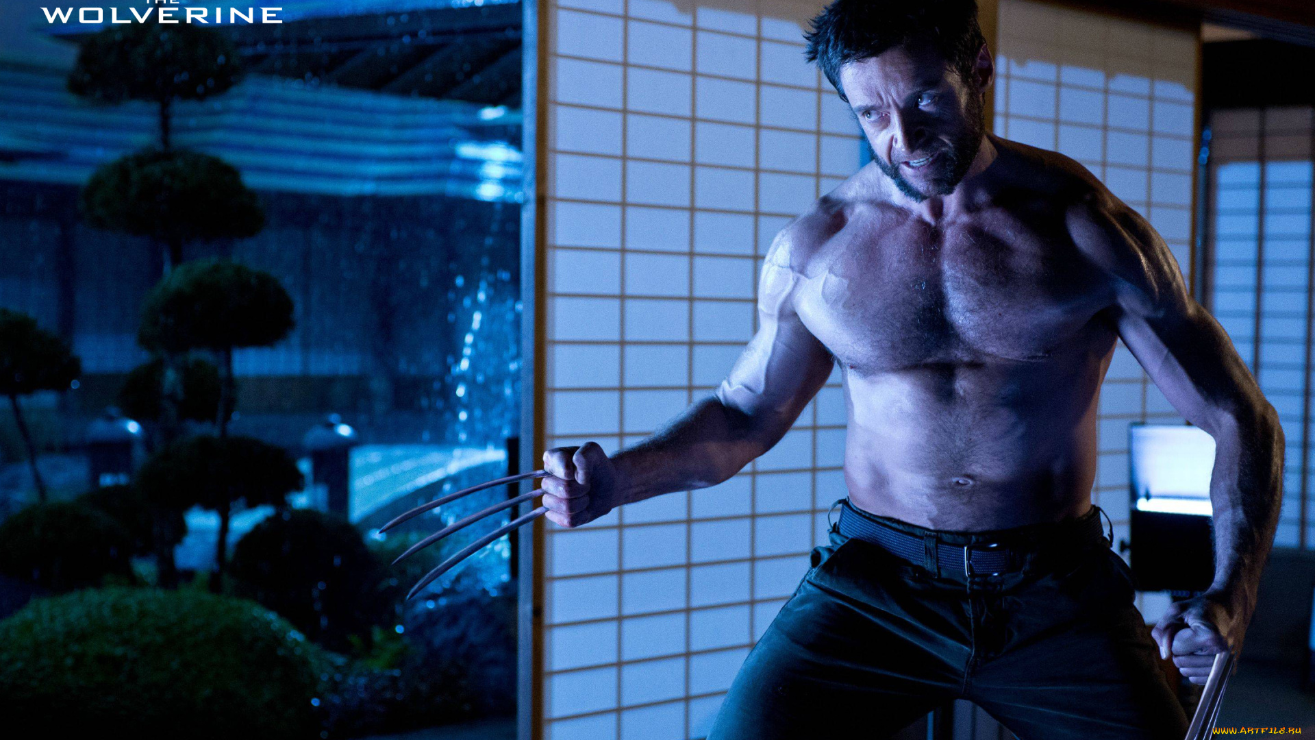 the, wolverine, кино, фильмы, актер, персонаж, когти, росомаха