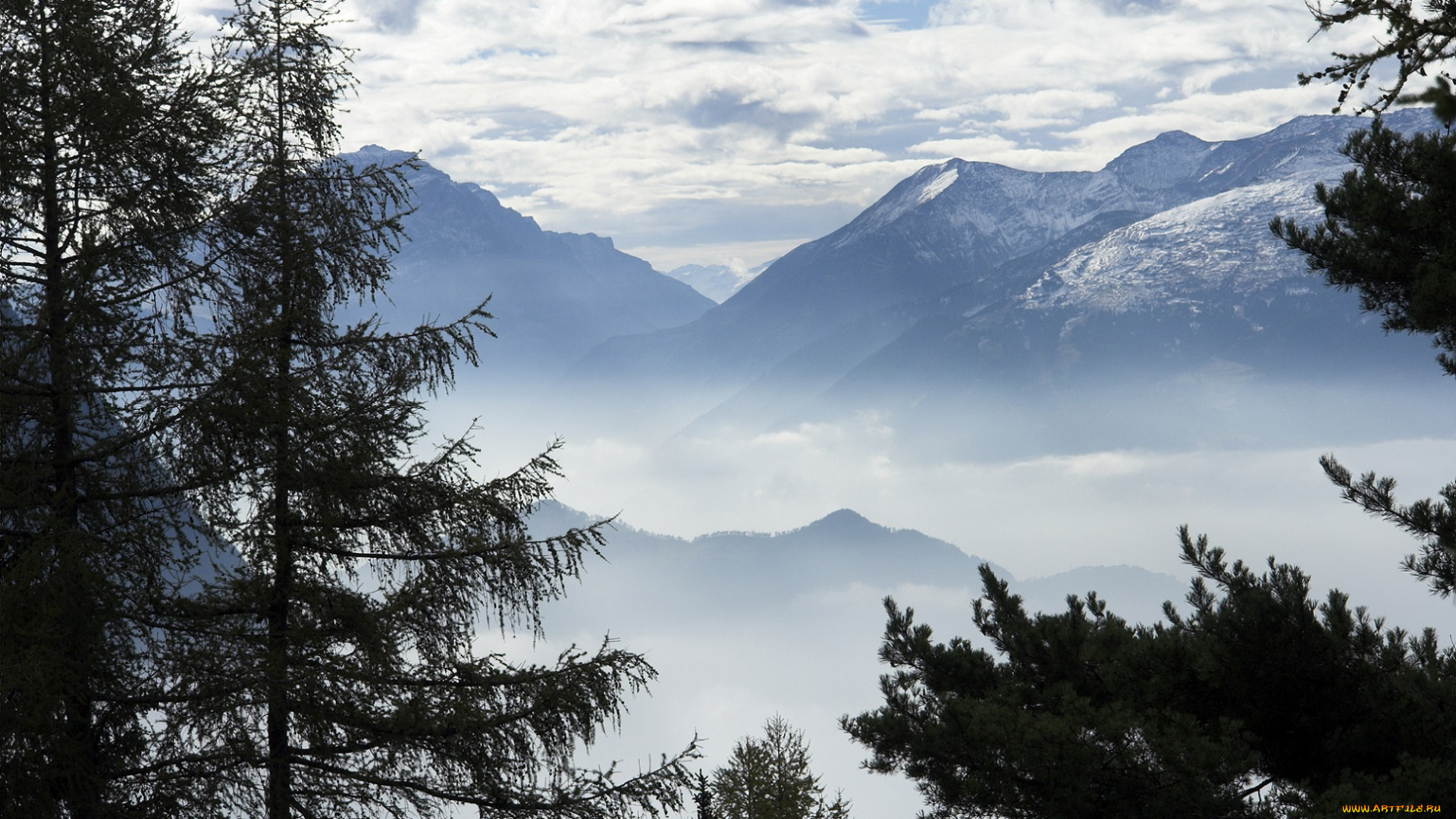 природа, горы, деревья, туман