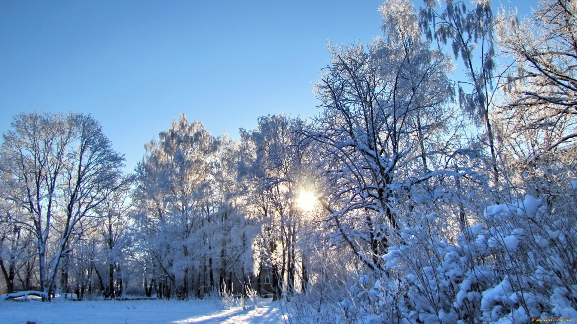 природа, зима, солнце, снег