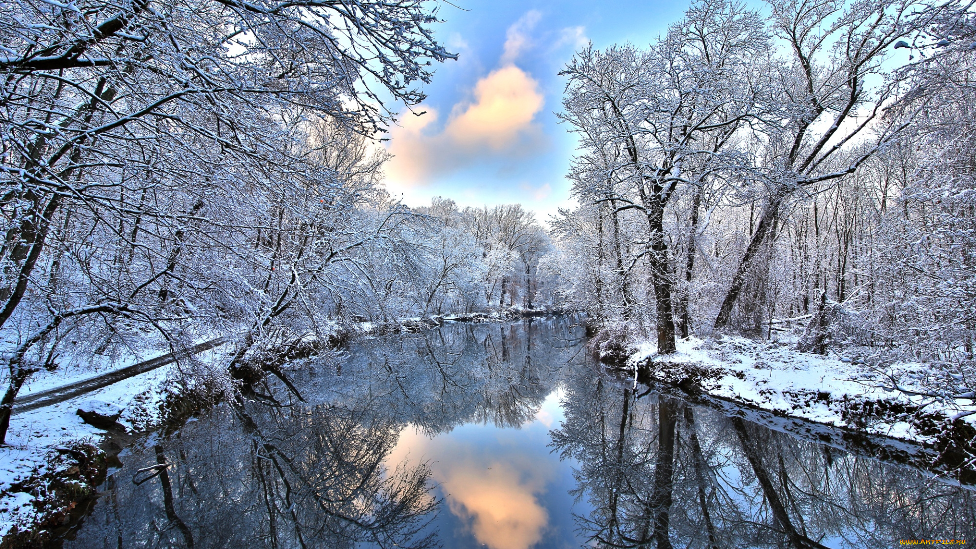 природа, зима, вода, деревья