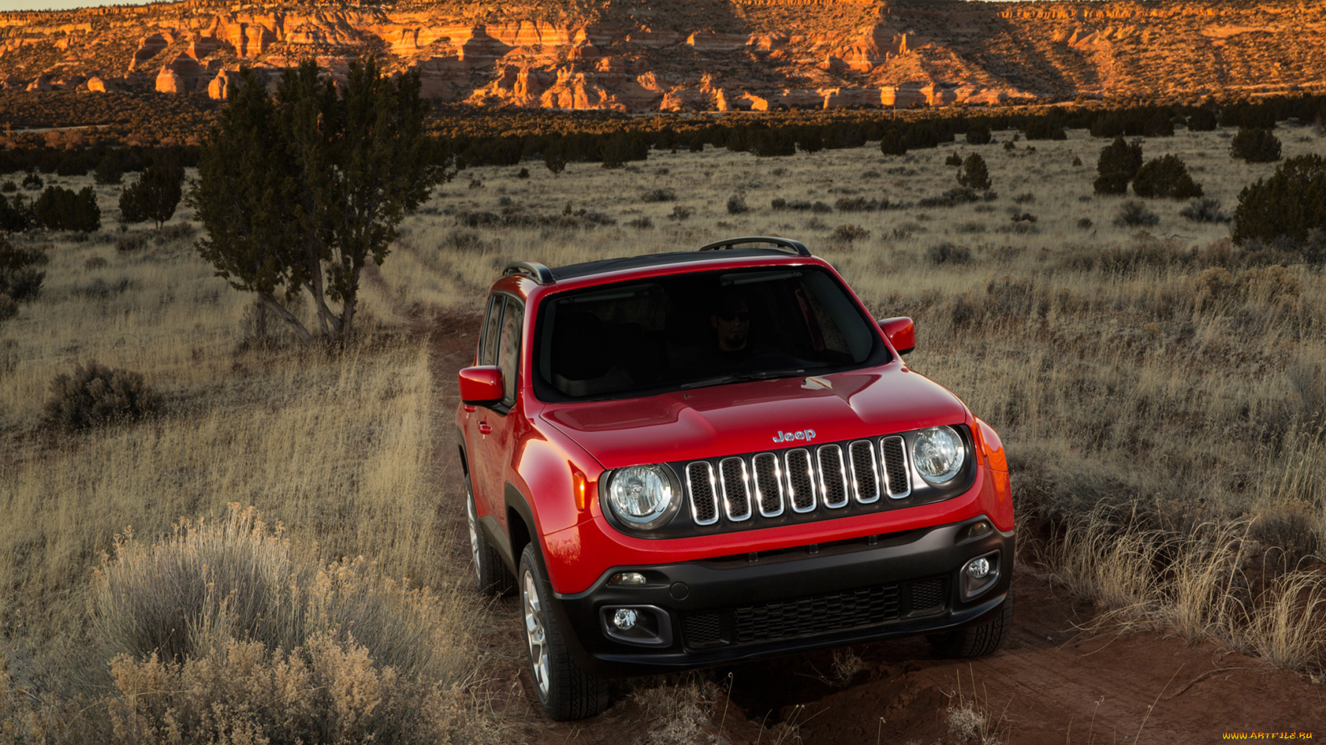 jeep, renegade, latitude, 2015, автомобили, jeep, renegade, latitude, 2015