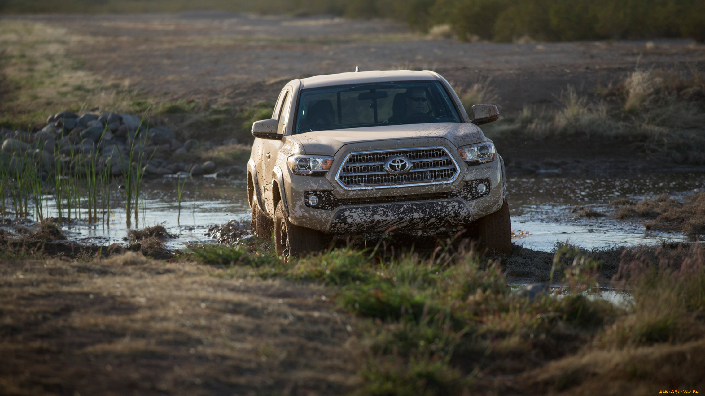 toyota, tacoma, 2016, автомобили, toyota, tacoma, 2016, джип, внедорожник