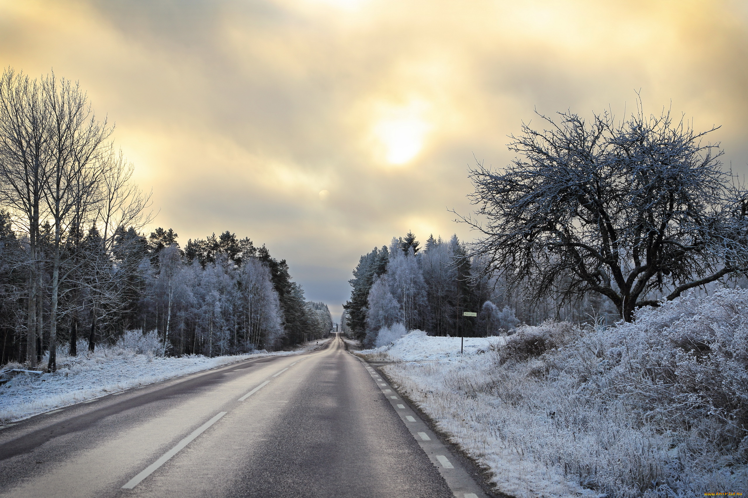 природа, дороги, дорога, утро, зима