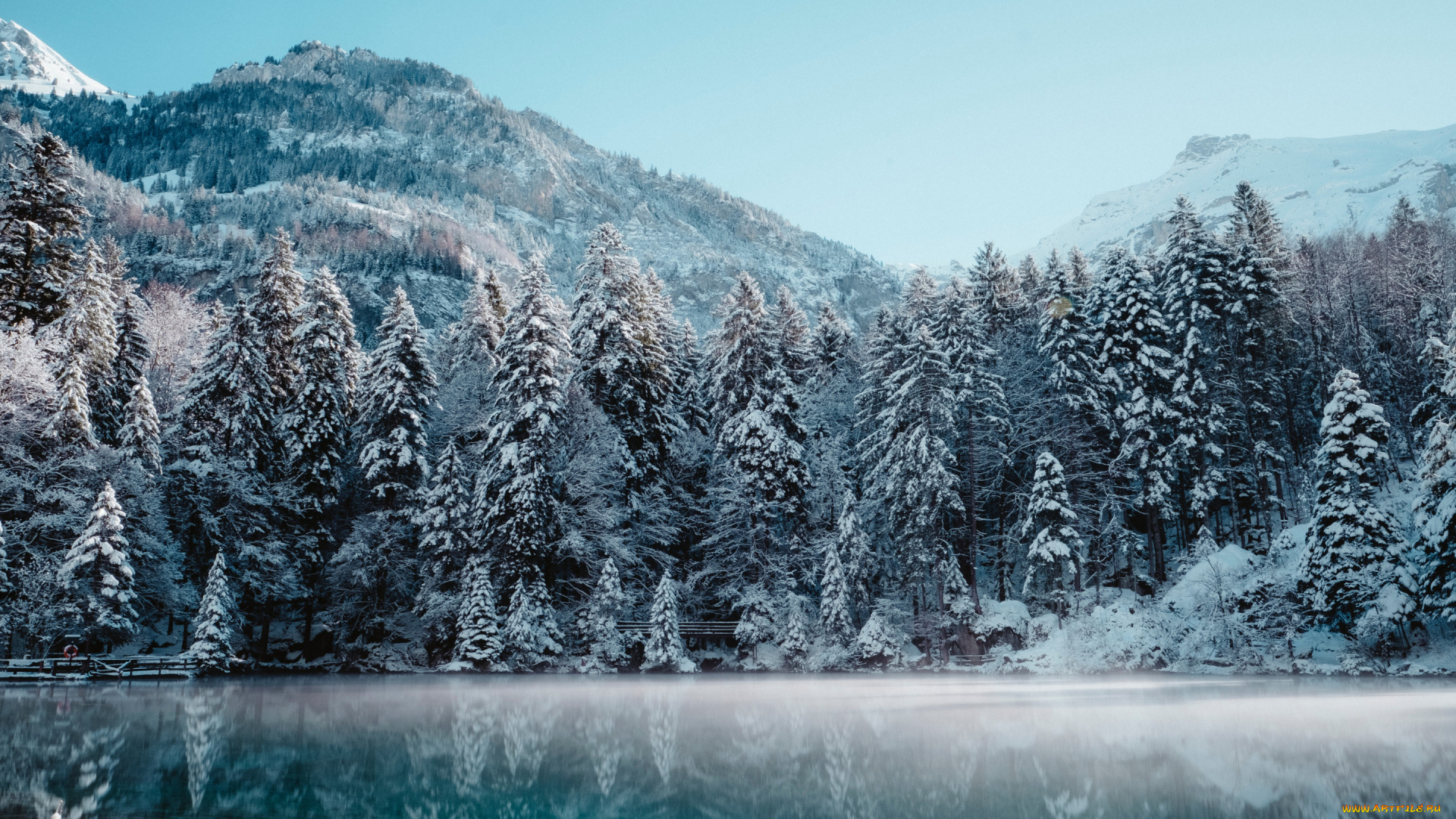 природа, лес, зима, мороз, утро, горный, пейзаж, снег, зимний, альпы, швейцария