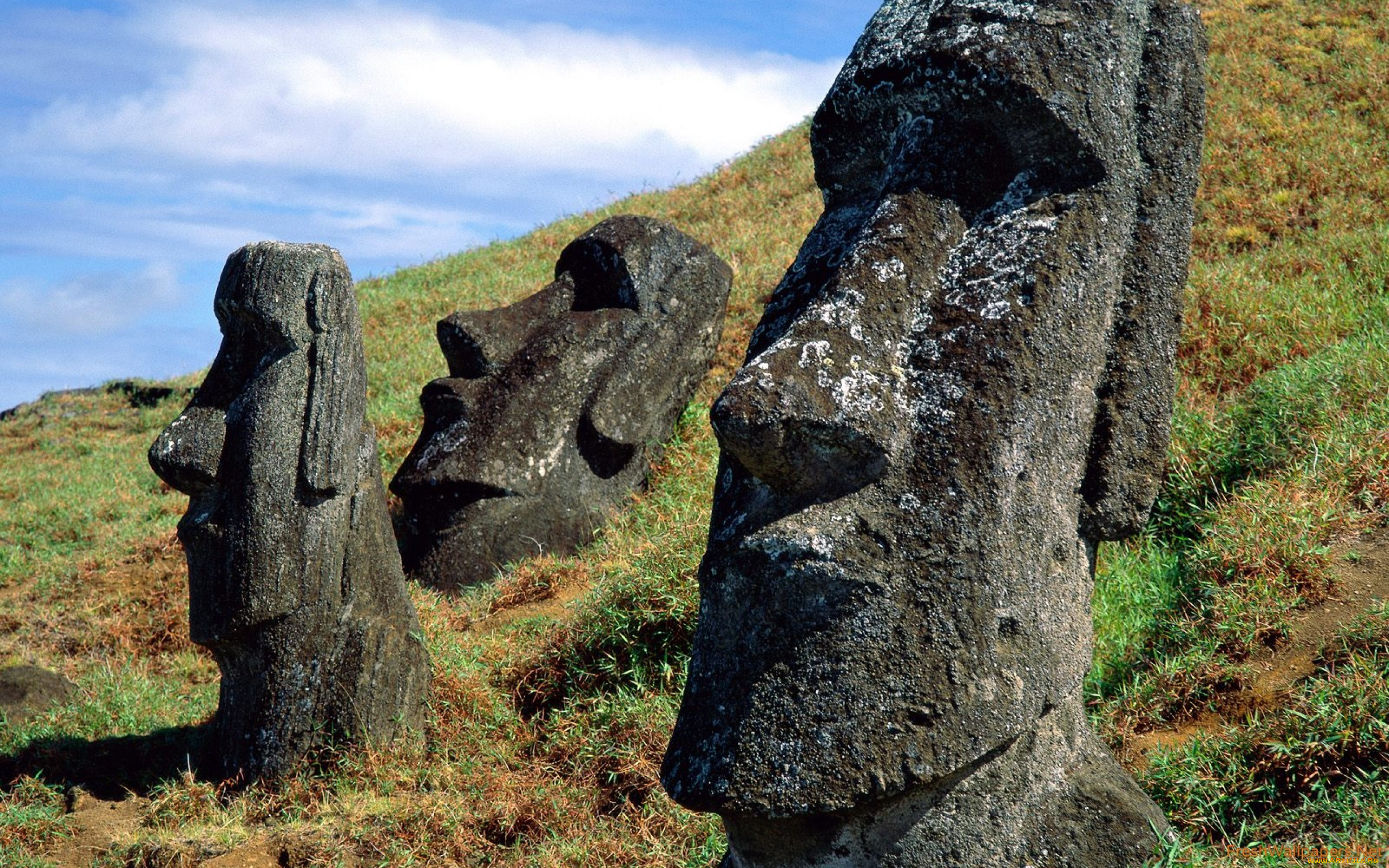 Каменные статуи острова пасхи страна. Моаи на острове Пасхи. Каменные статуи острова Пасхи. Остров Пасхи статуи Моаи. Каменные идолы острова Пасхи.