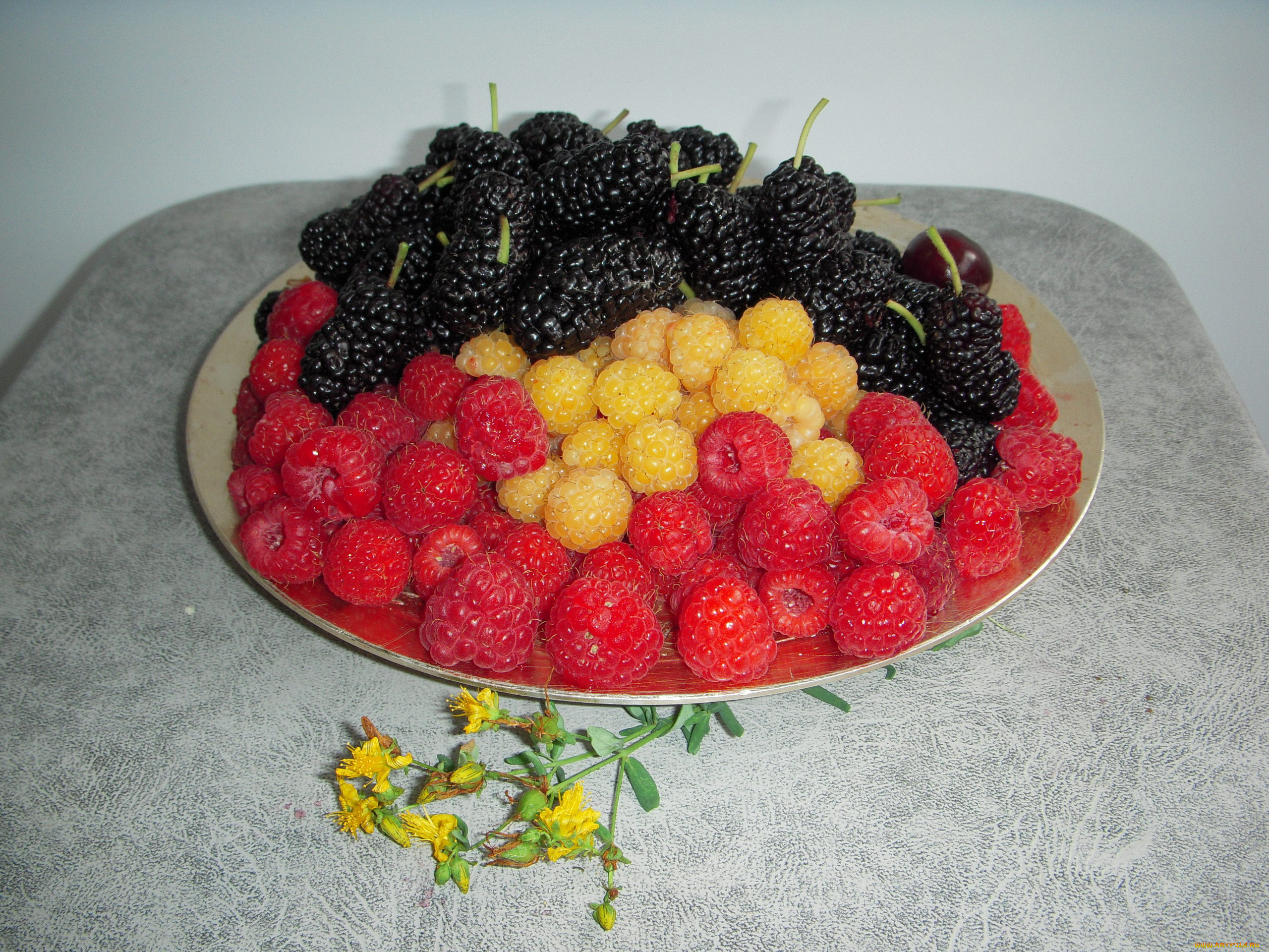 еда, фрукты, , ягоды, ежевика, малина