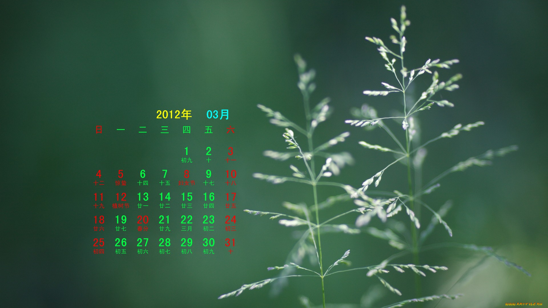 календари, природа, зеленый