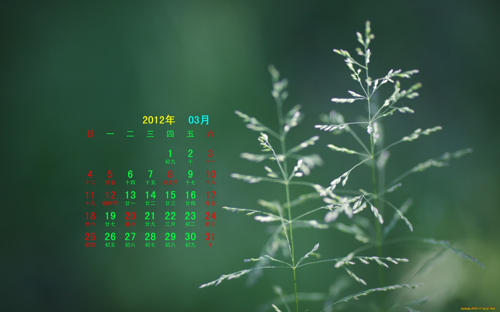 календари, природа, зеленый