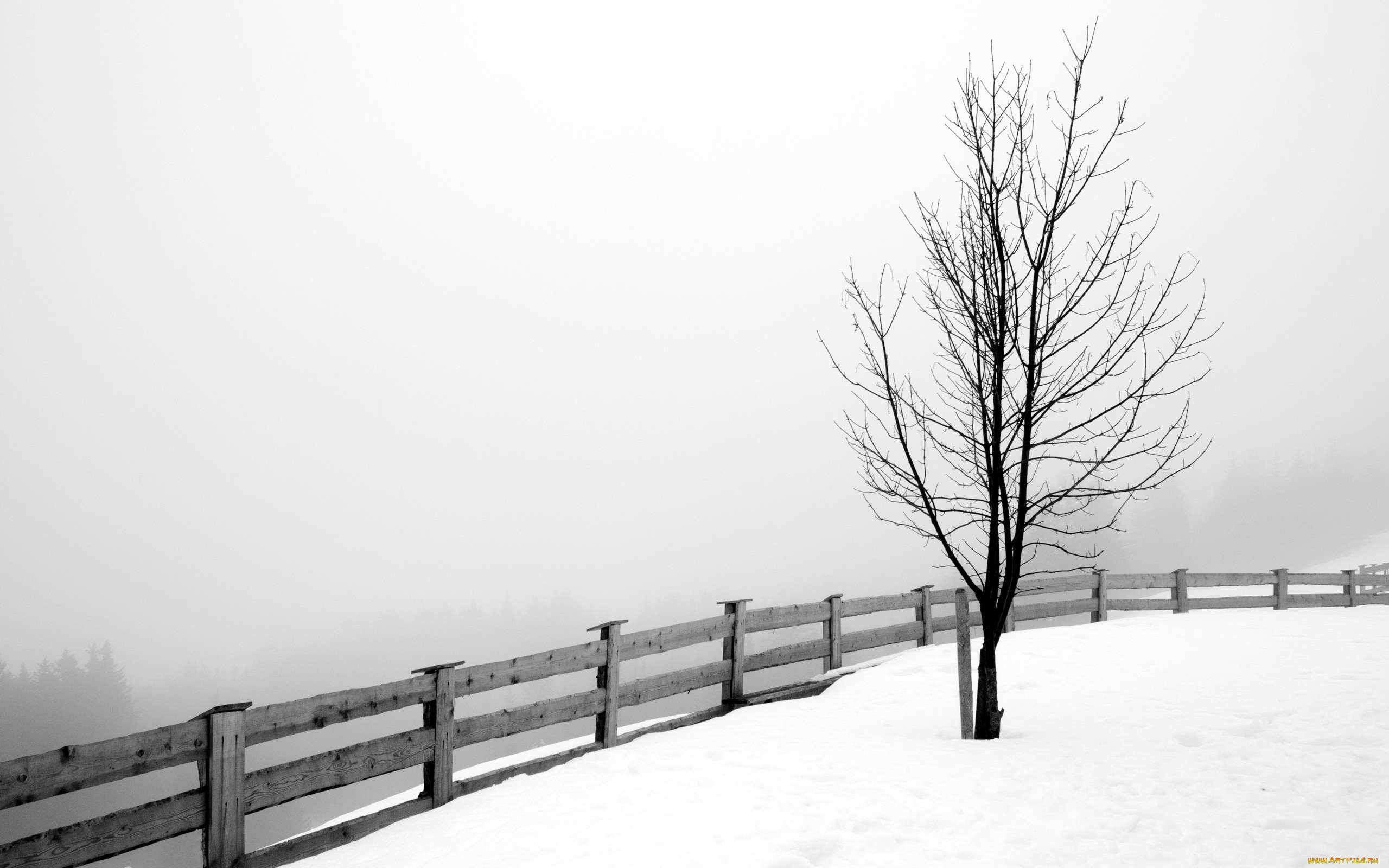 природа, зима, дерево, забор