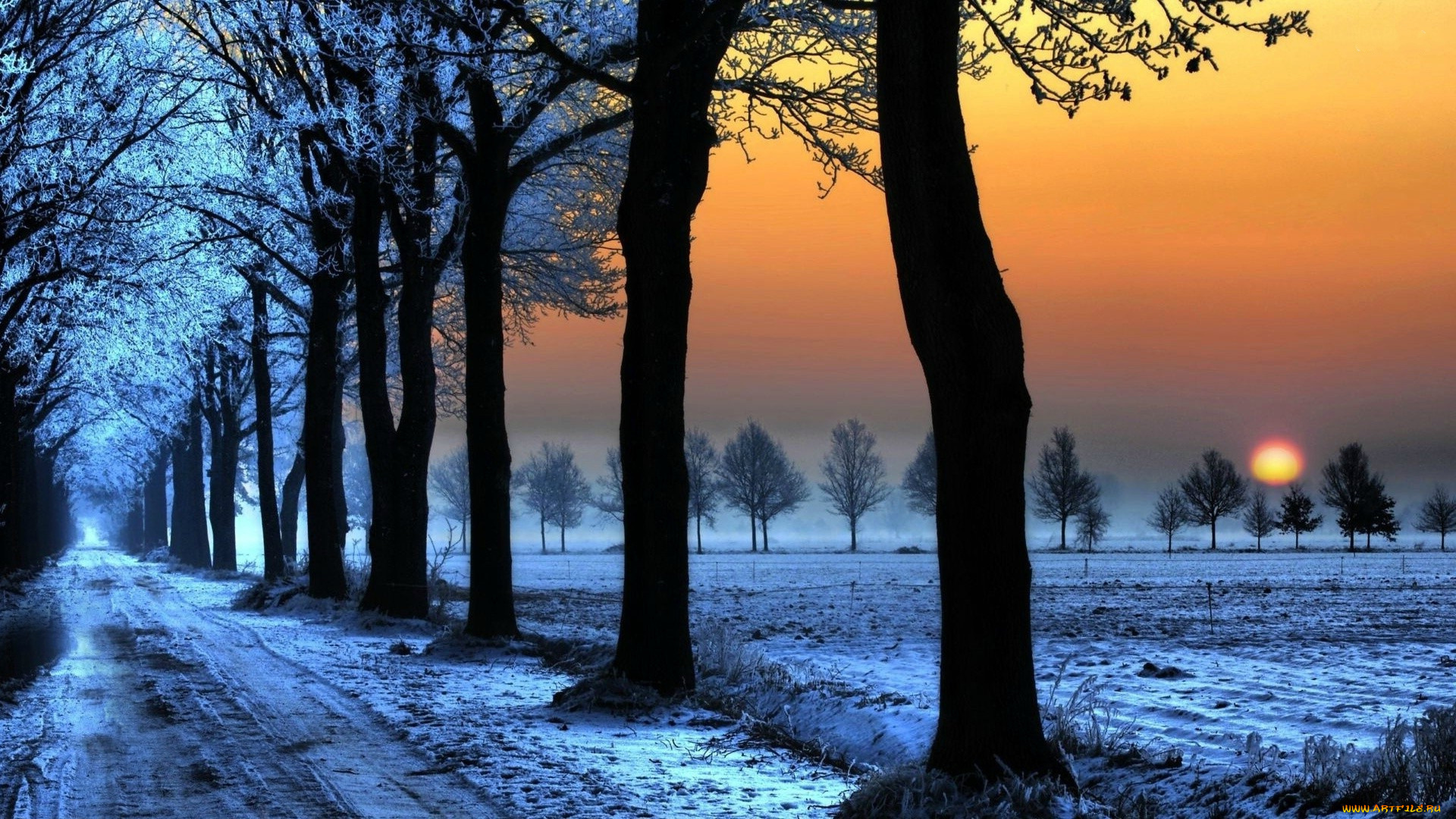 природа, зима, деревья, снег, солнце, дорога, поле
