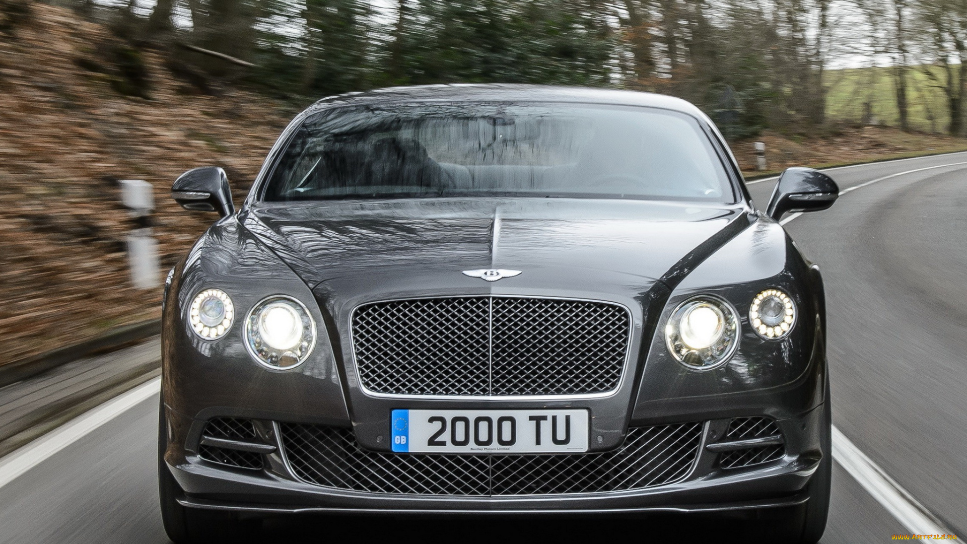 автомобили, bentley, gt, темный, speed, 2014, continental