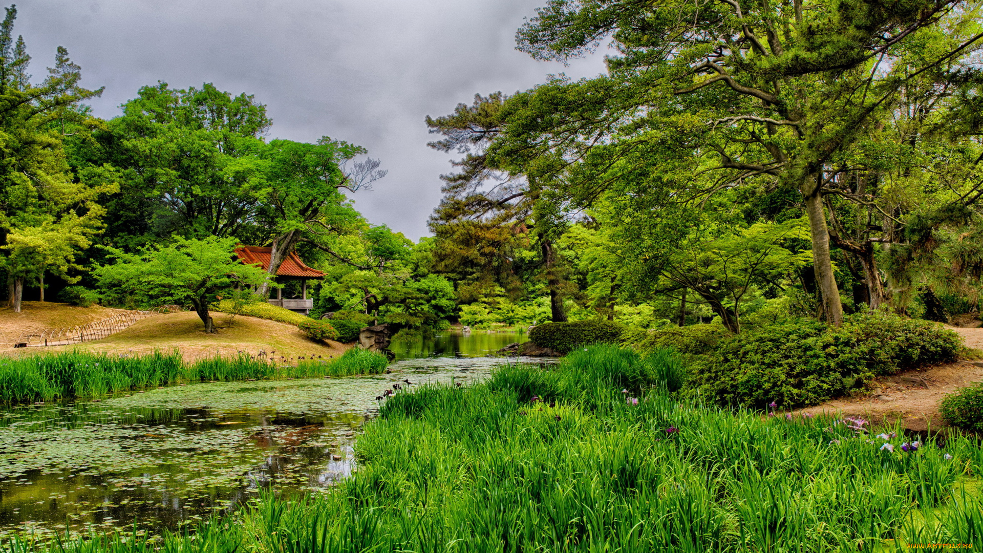 takamatsu, ritsurin, garden, Япония, природа, парк, трава, деревья, пруд