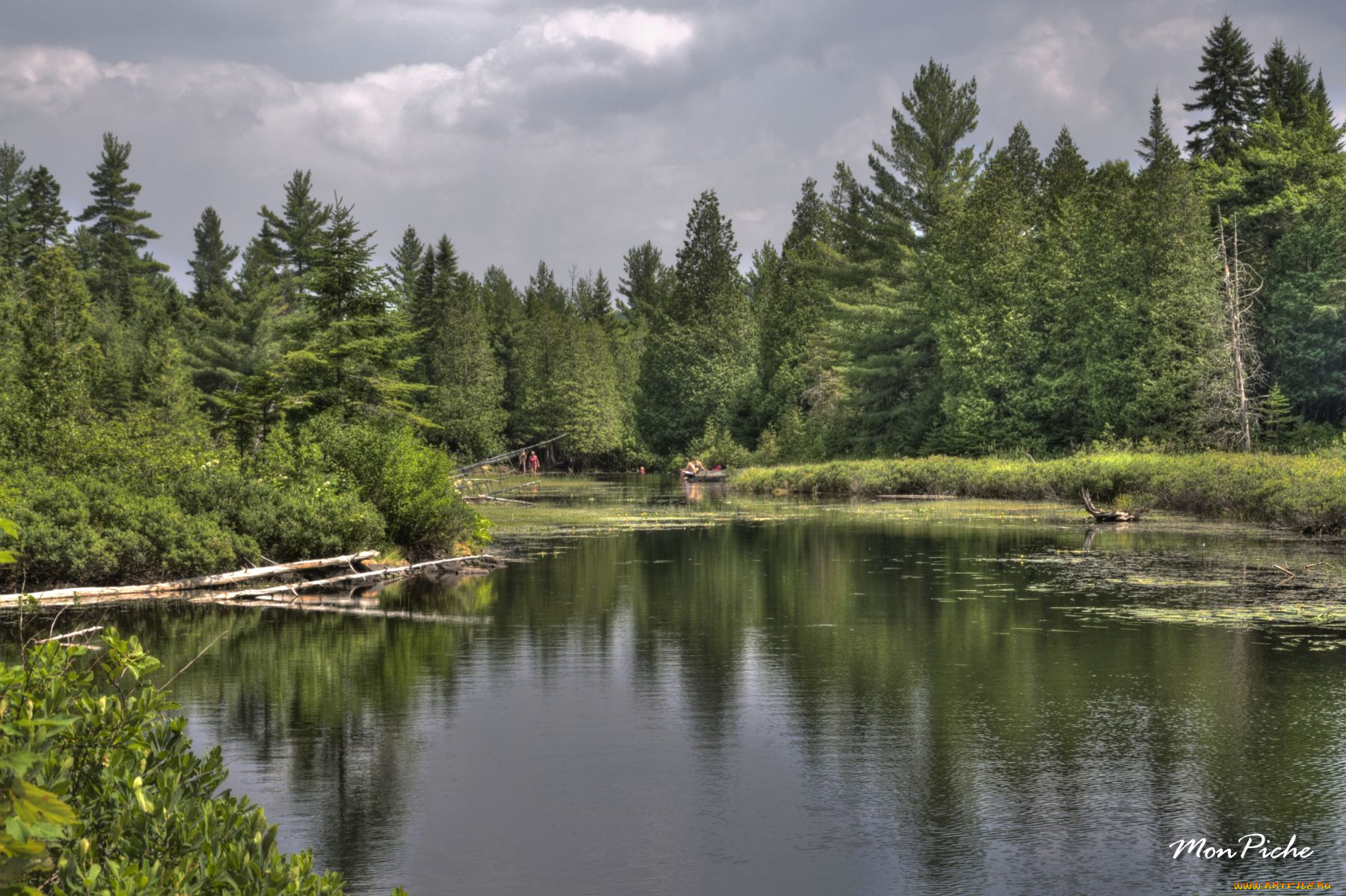 parc, national, de, la, mauricie, природа, реки, озера, квебек, озеро, лес, деревья