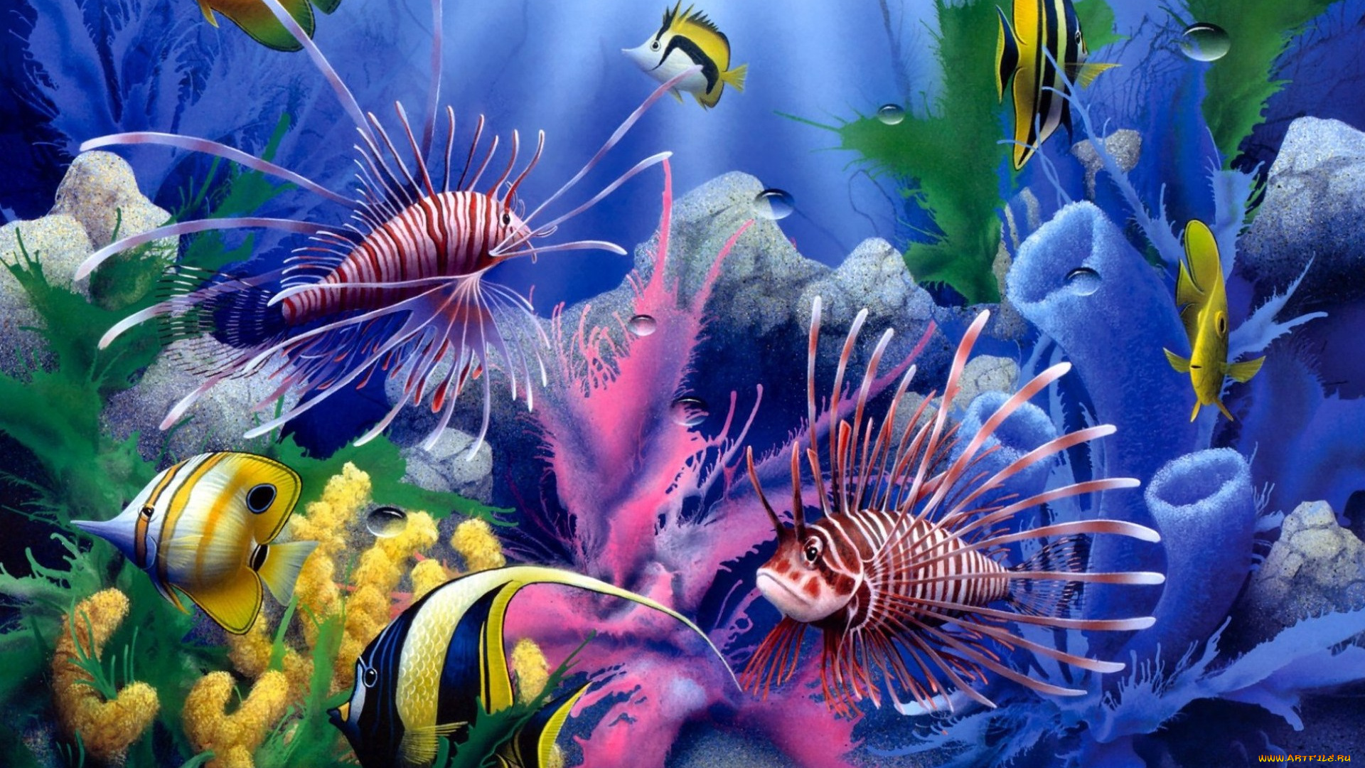 lions, of, the, sea, рисованные, david, miller, painting, colorful, fish, corals, underwater, world