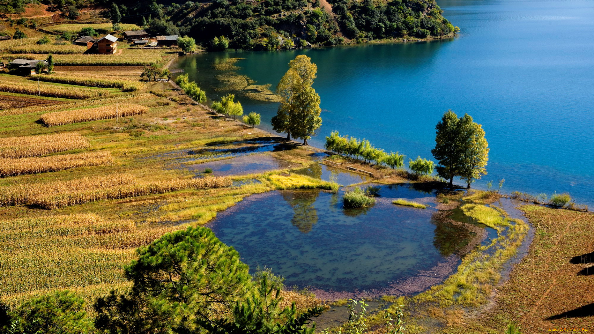 природа, реки, озера, берег, пейзаж, вода