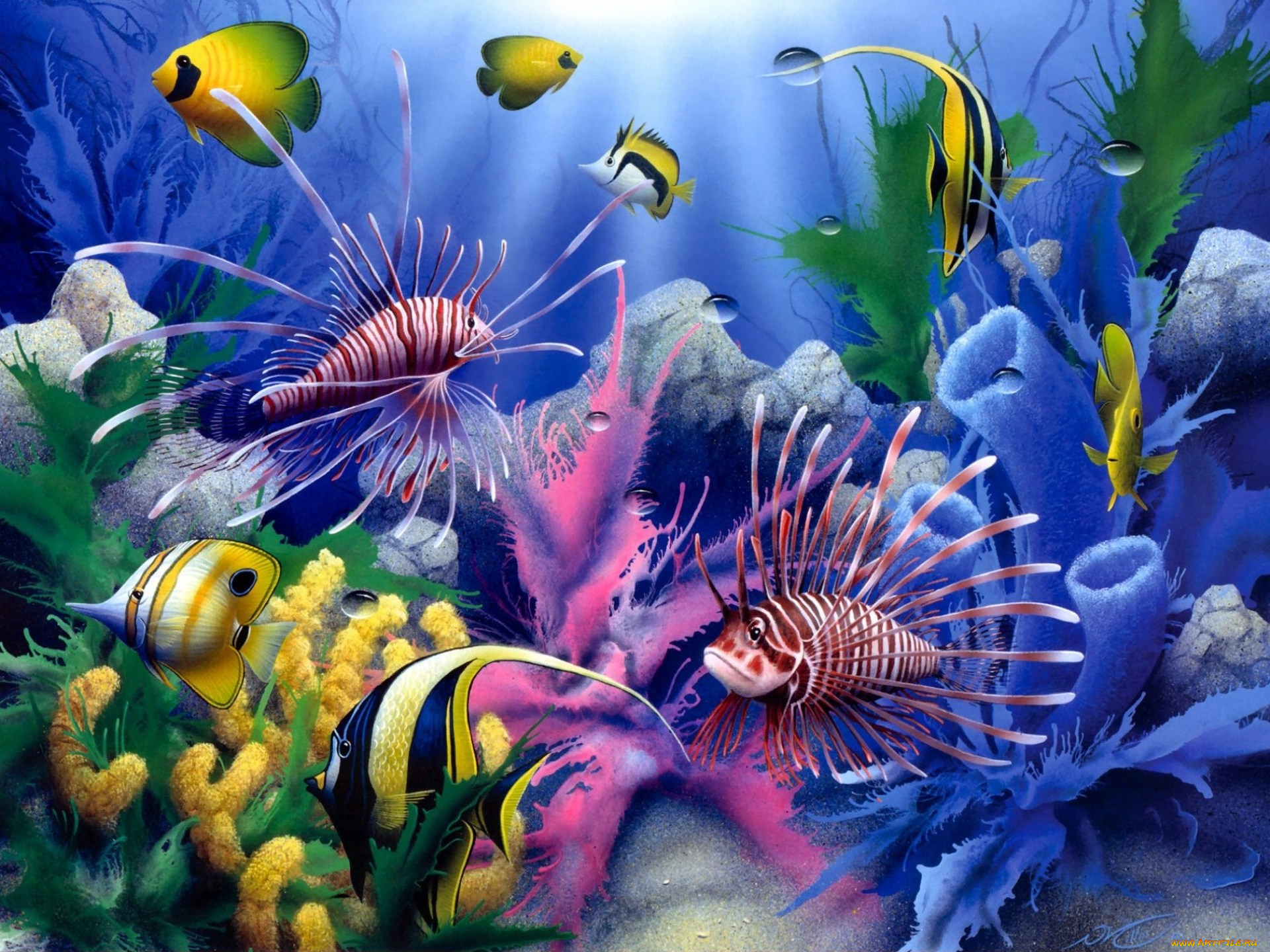 lions, of, the, sea, рисованные, david, miller, painting, colorful, fish, corals, underwater, world