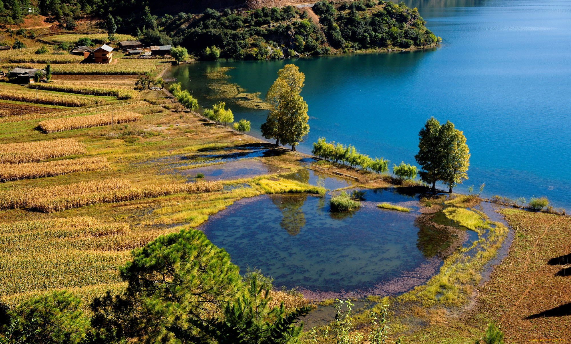 природа, реки, озера, берег, пейзаж, вода