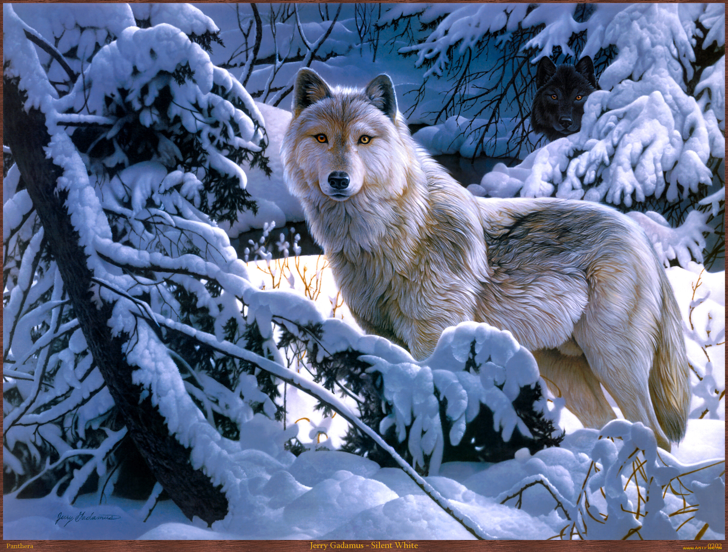 jerry, gadamus, silent, white, рисованные, лес, снег, зима, арт, волк