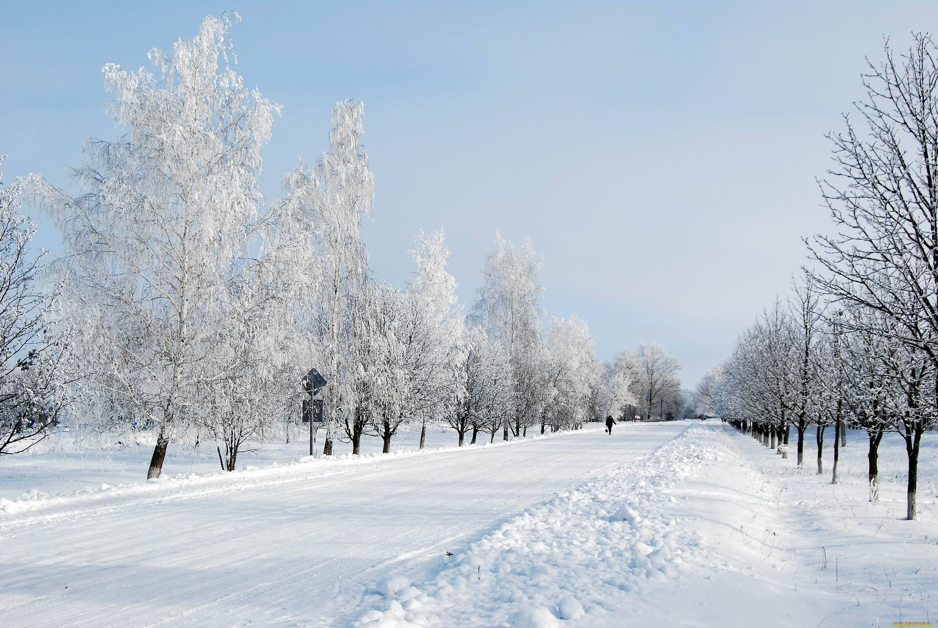 природа, зима, иний, деревья, снег, дорога