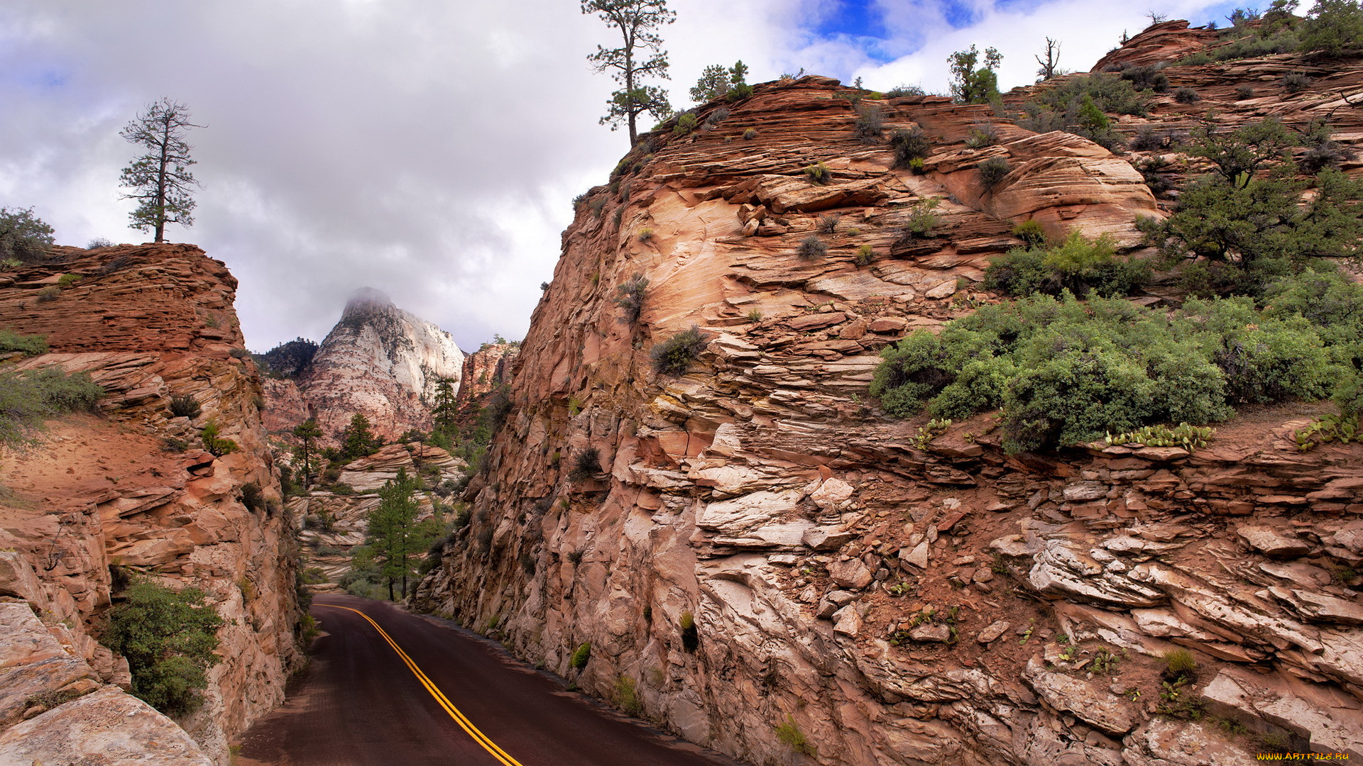 природа, дороги, горы, zion, national, park