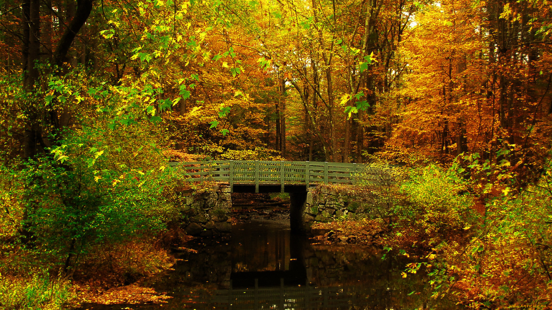 природа, парк, осень, листья, деревья, мост, пруд, лес