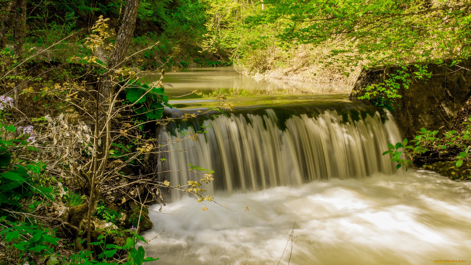 природа, водопады, лес, река, водопад