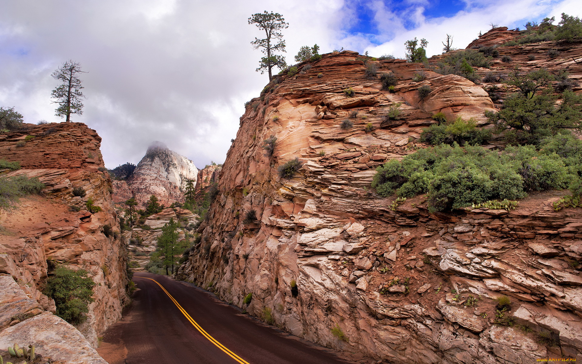 природа, дороги, горы, zion, national, park